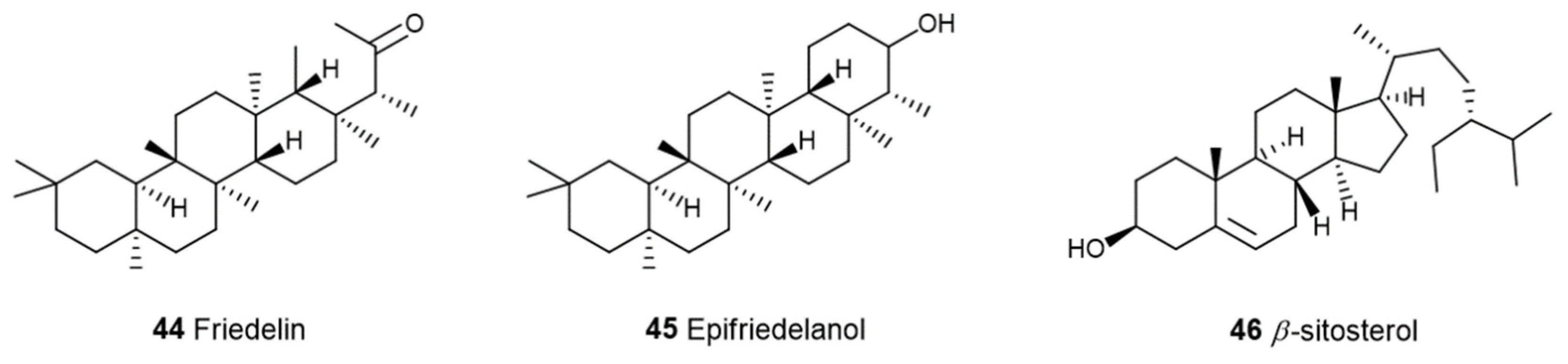 Preprints 118182 g013