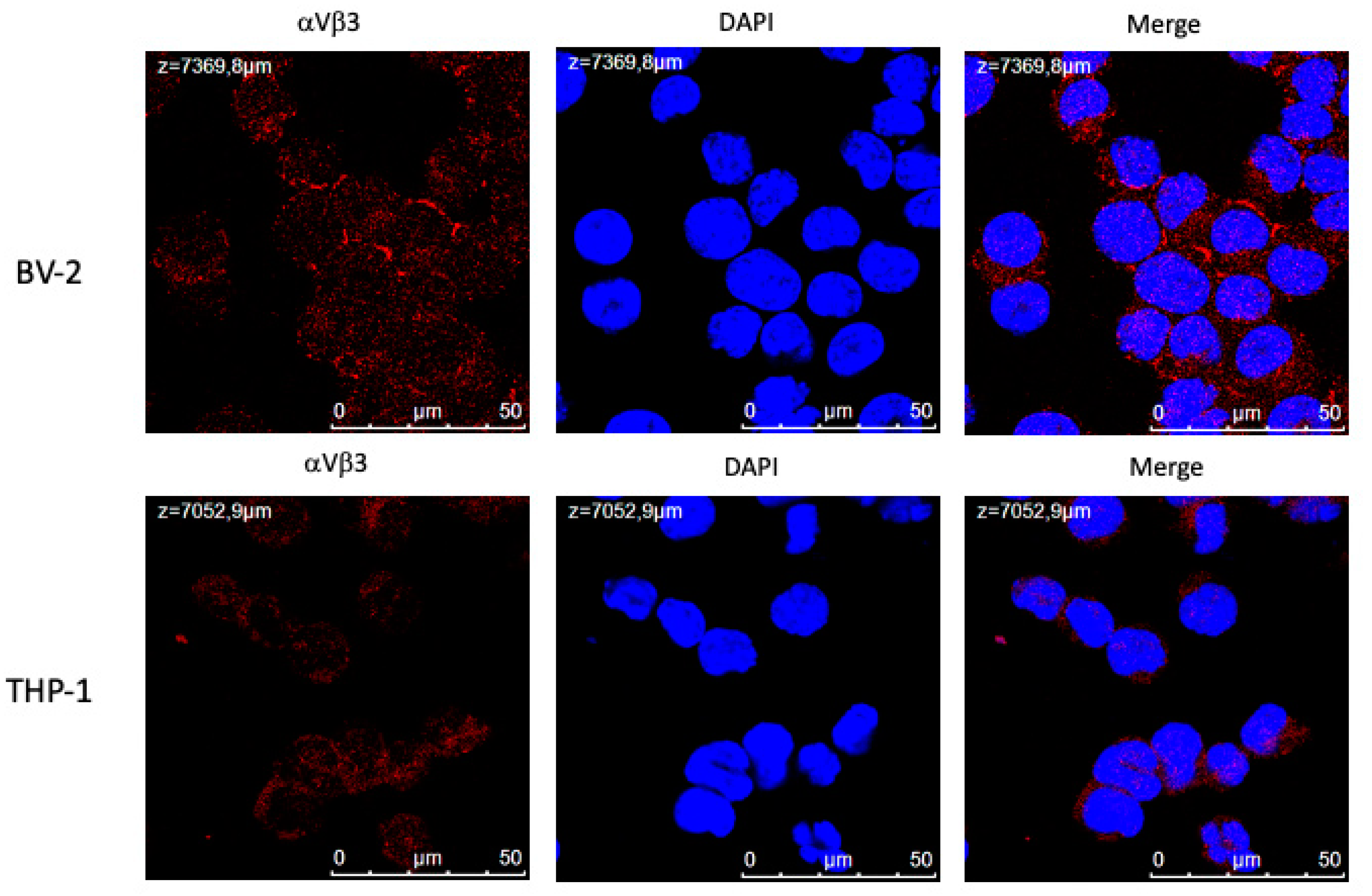 Preprints 113096 g001