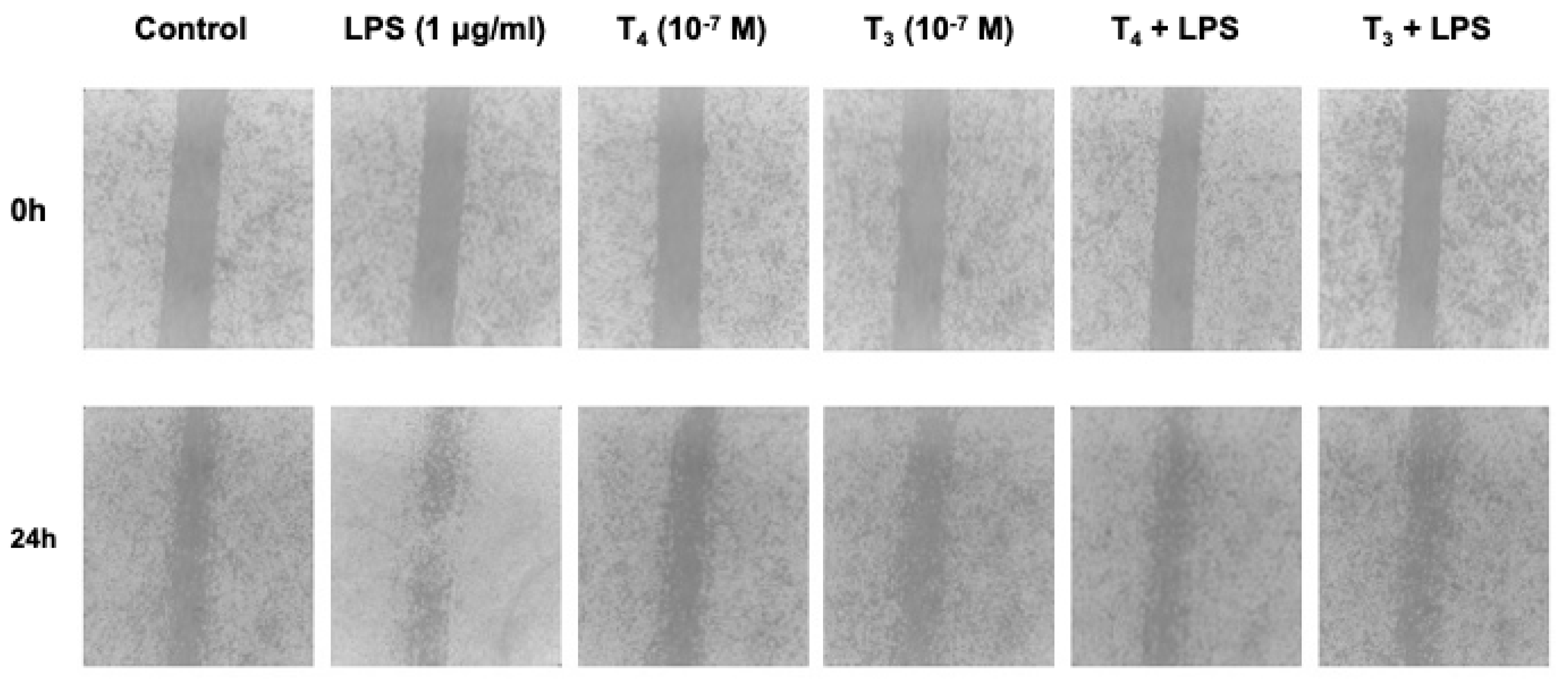 Preprints 113096 g004