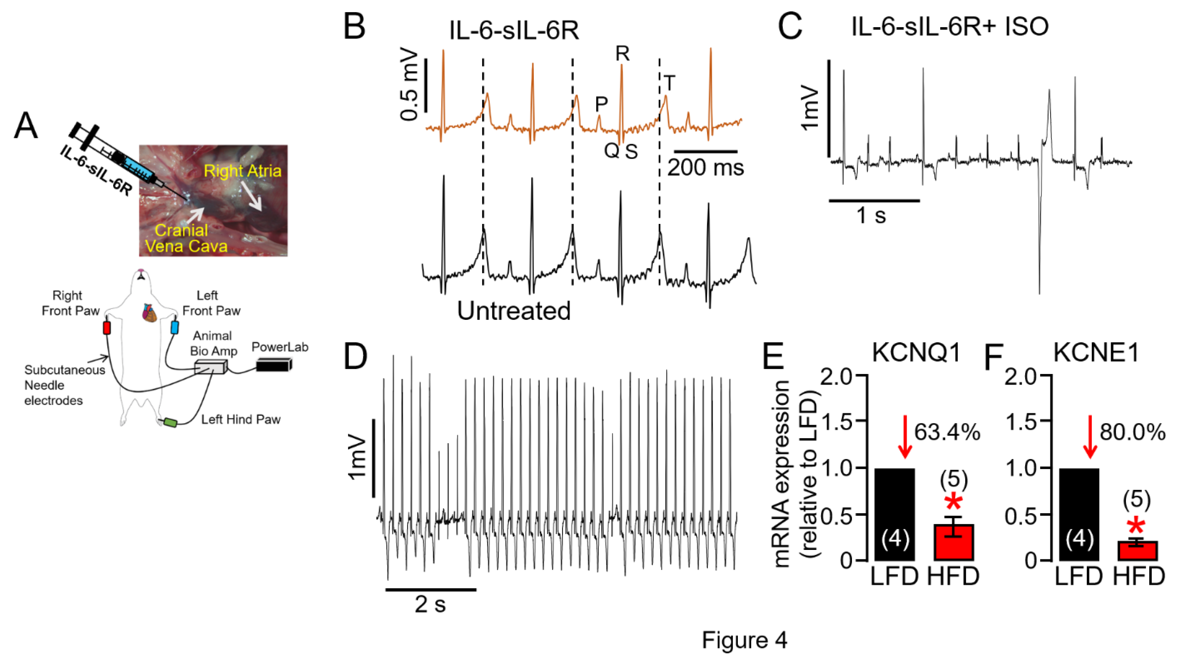 Preprints 109851 g004