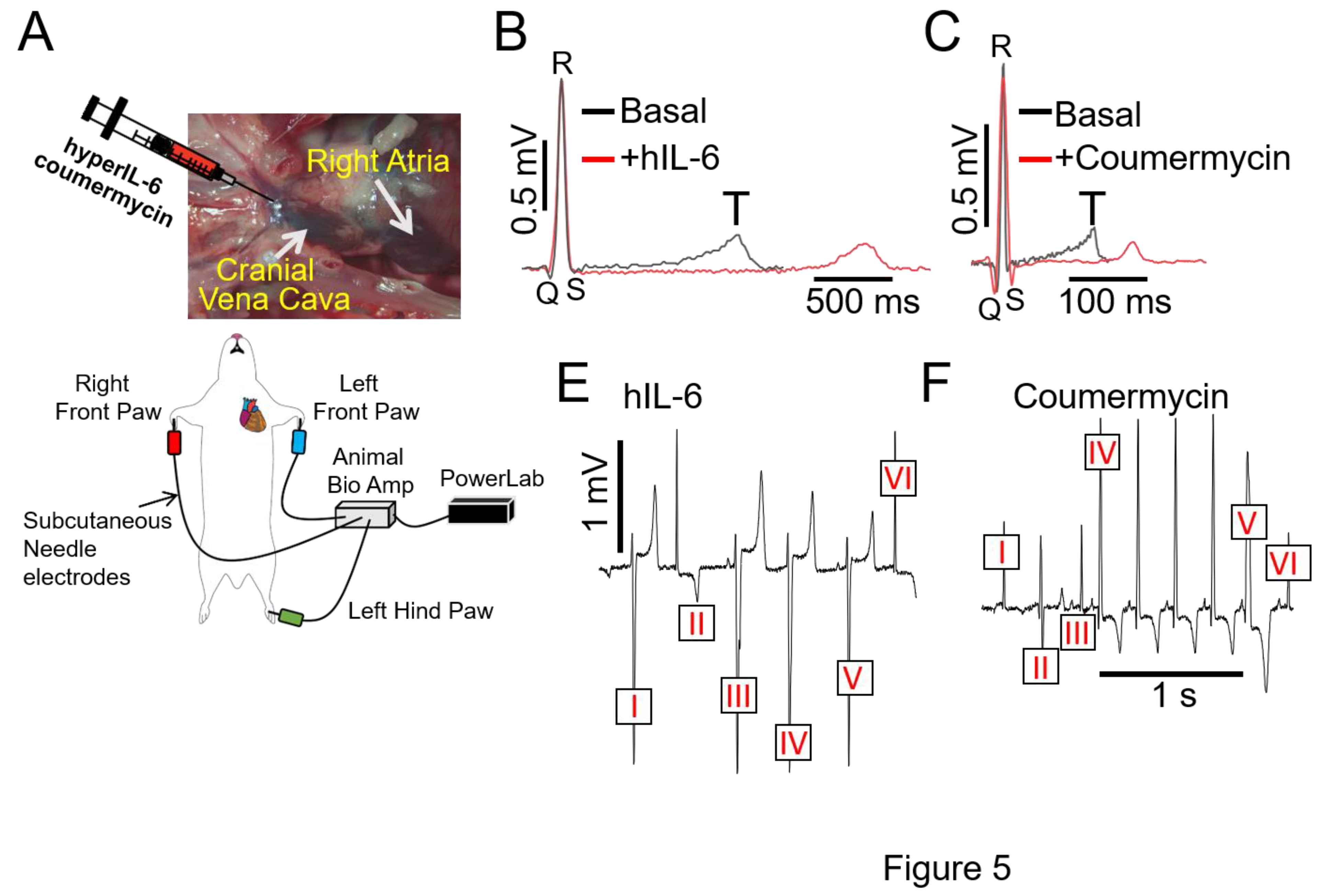 Preprints 109851 g005