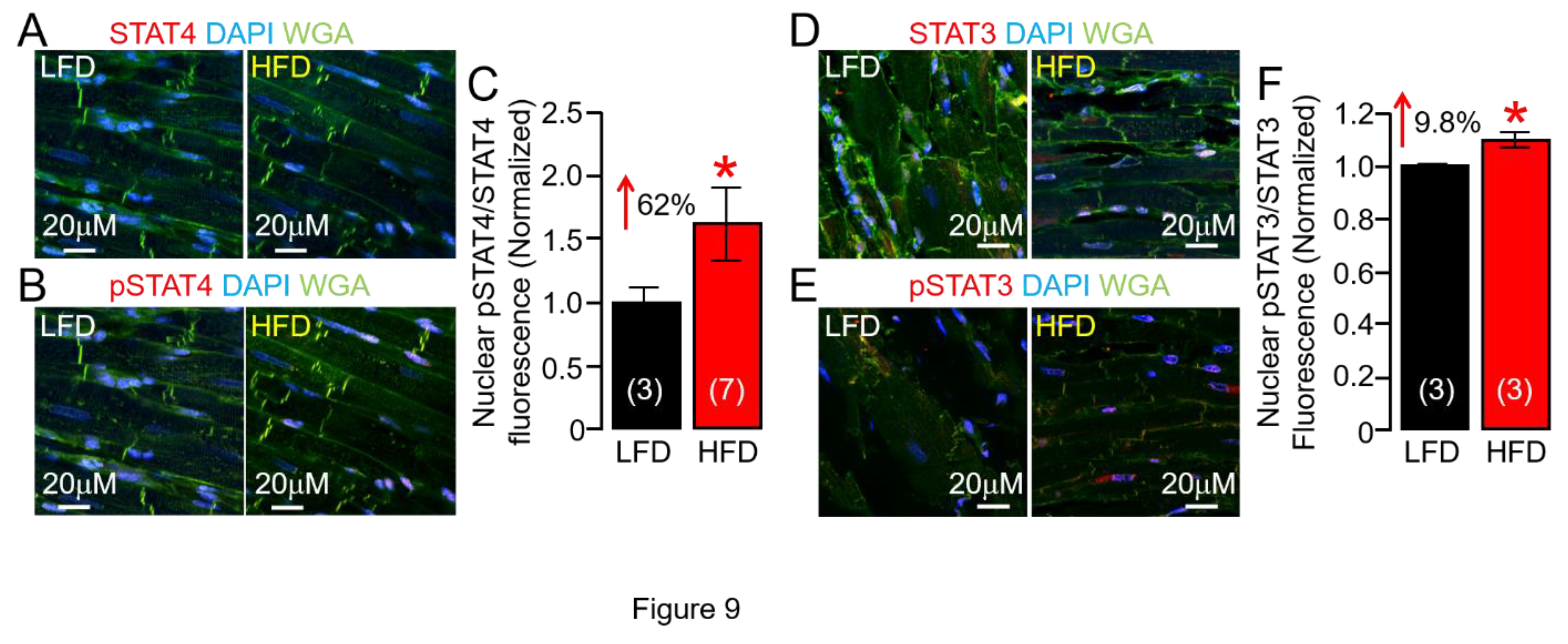 Preprints 109851 g009