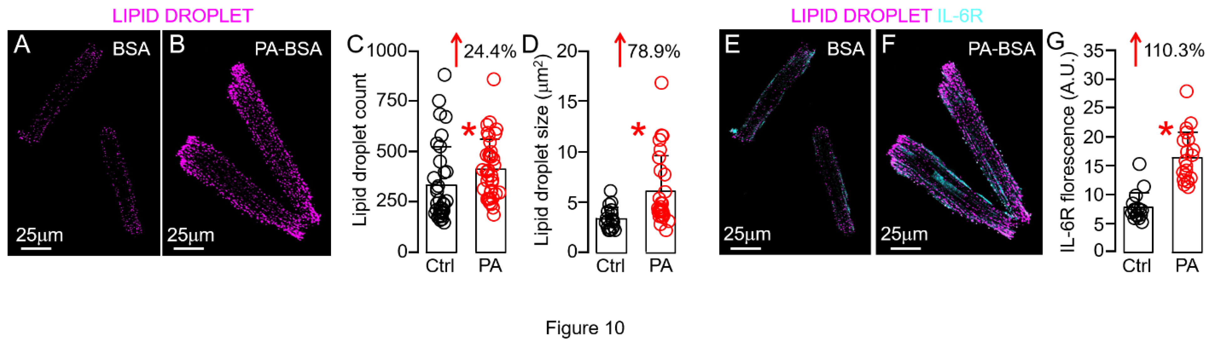 Preprints 109851 g010