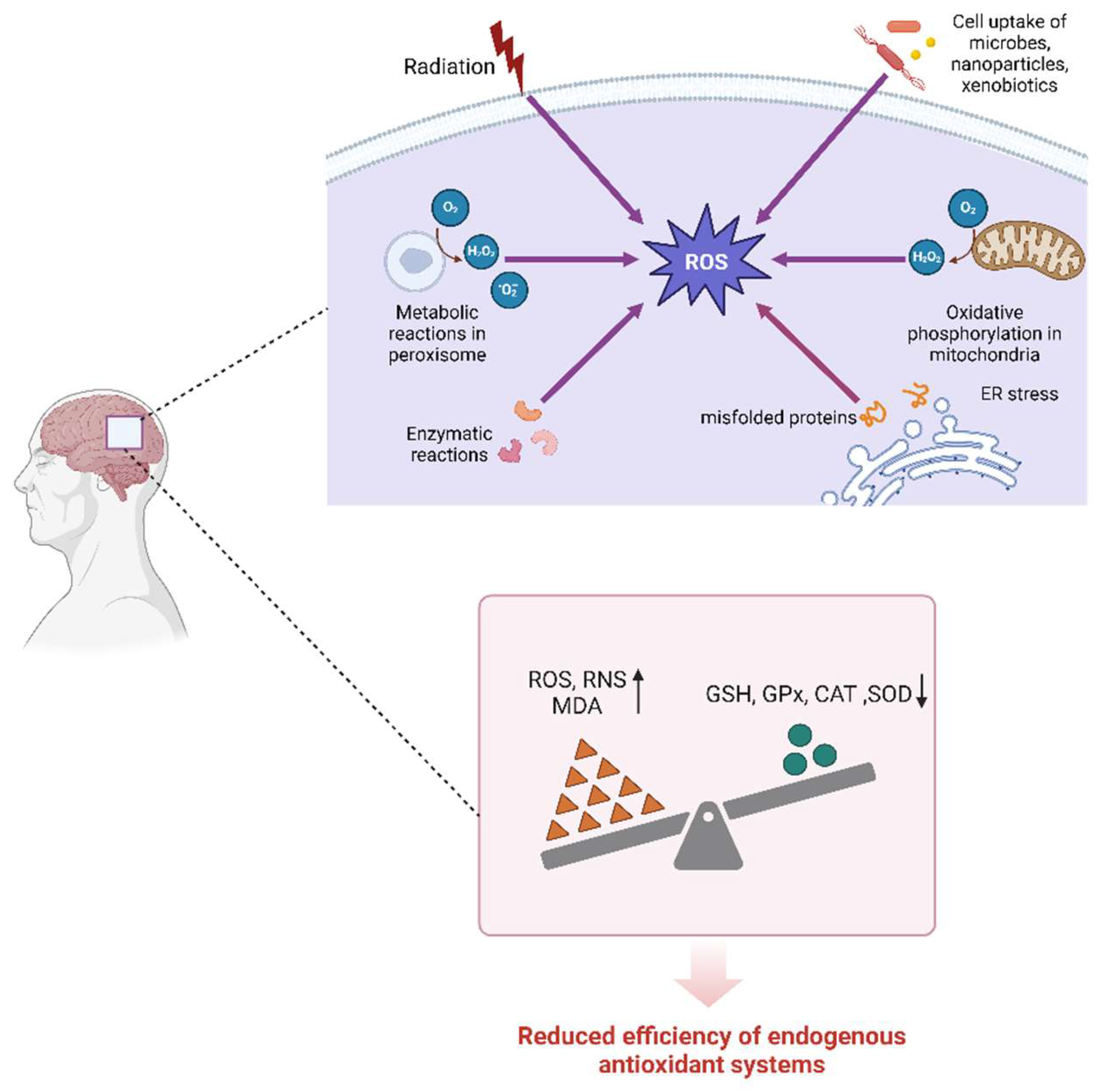 Preprints 118690 g001