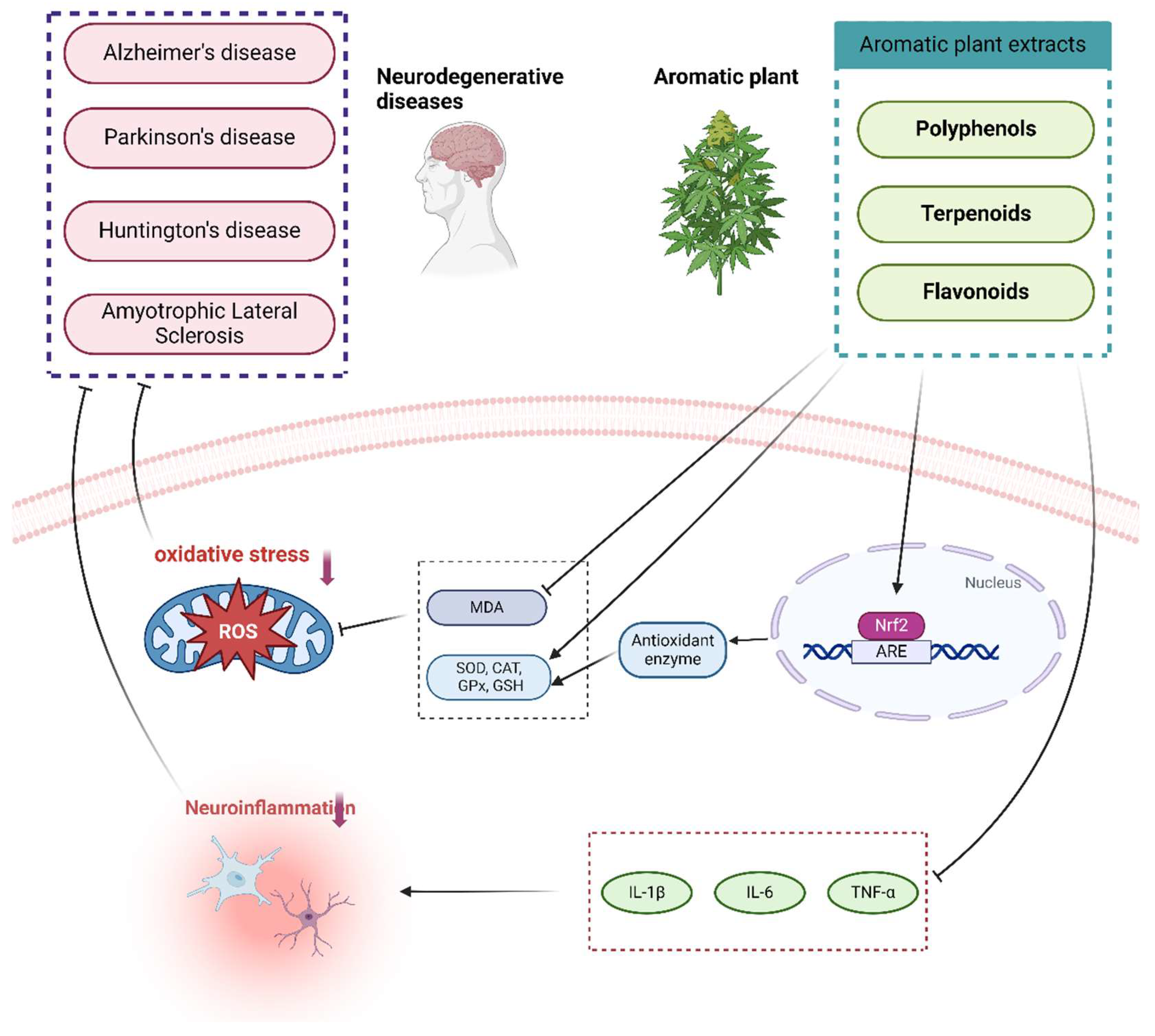 Preprints 118690 g002