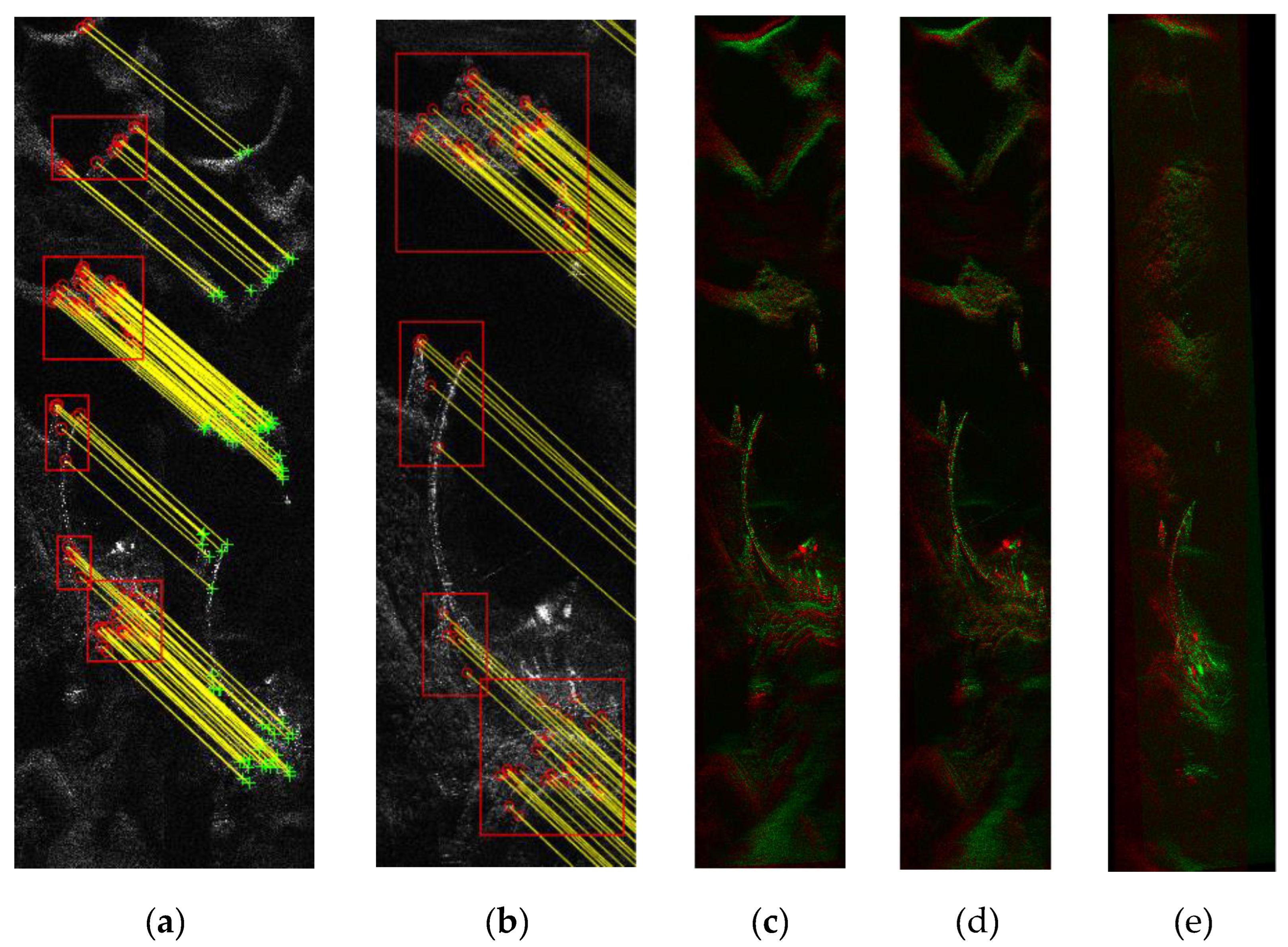 Preprints 94760 g007