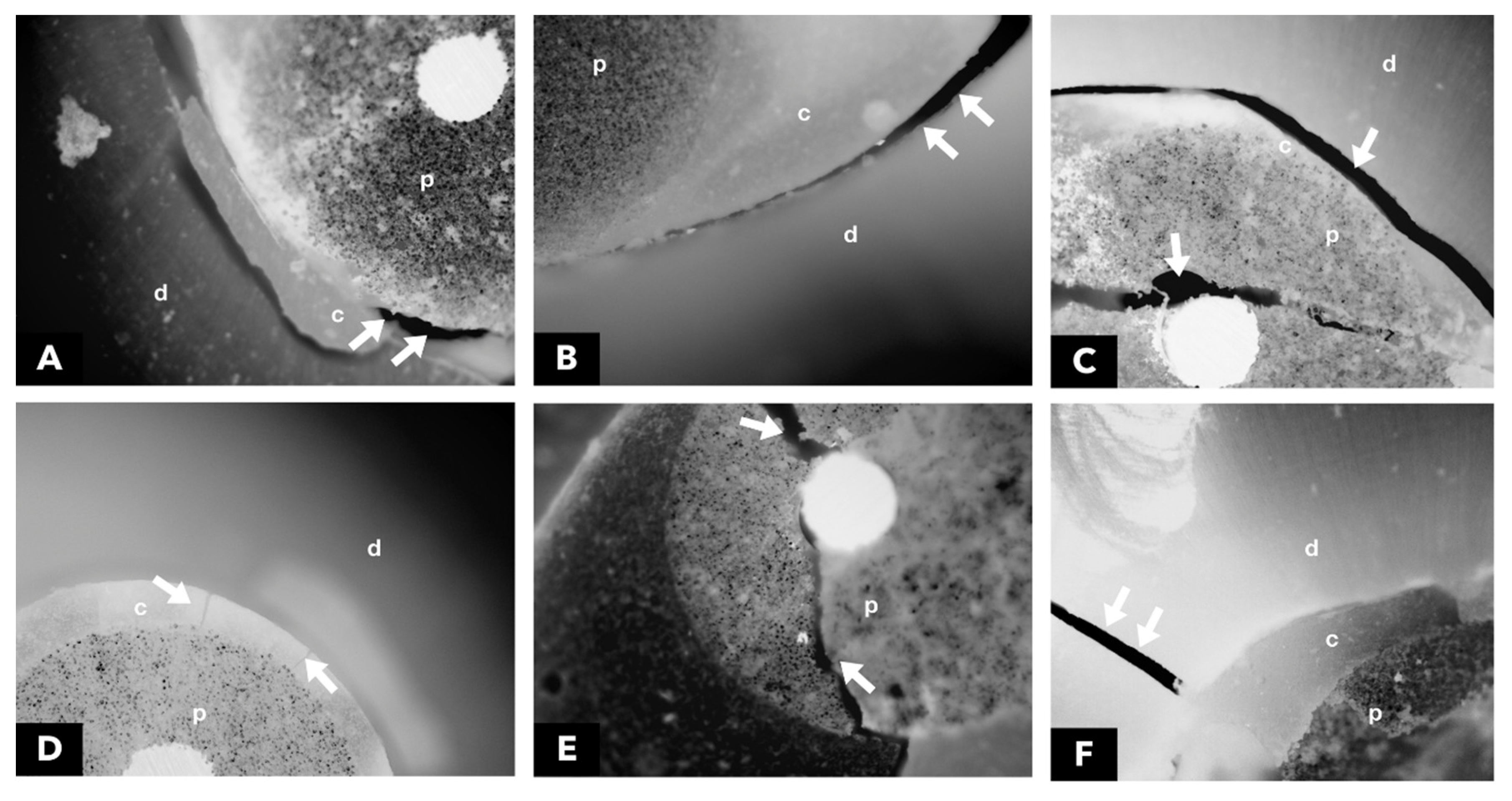 Preprints 87712 g003