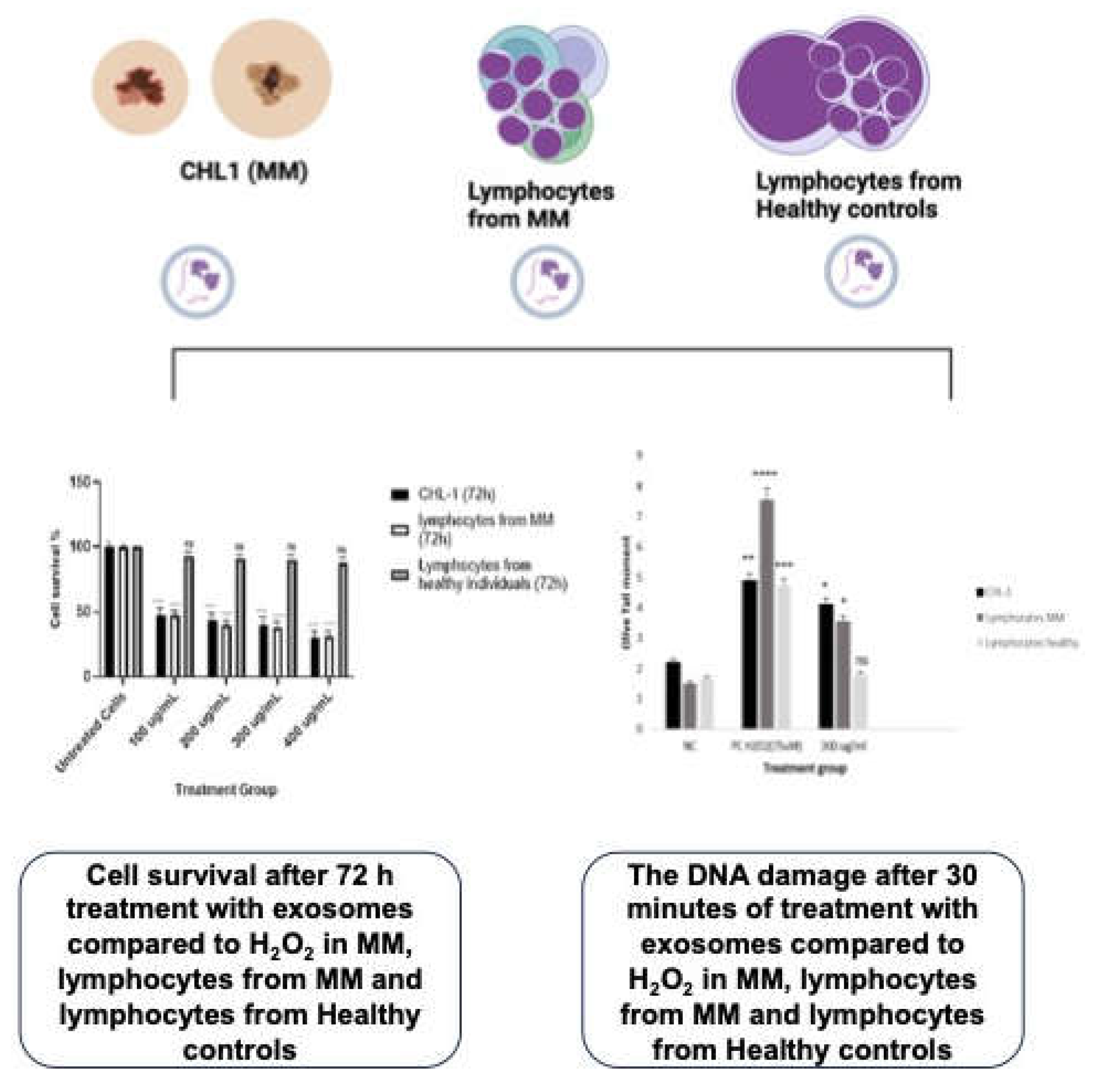 Preprints 104124 g001