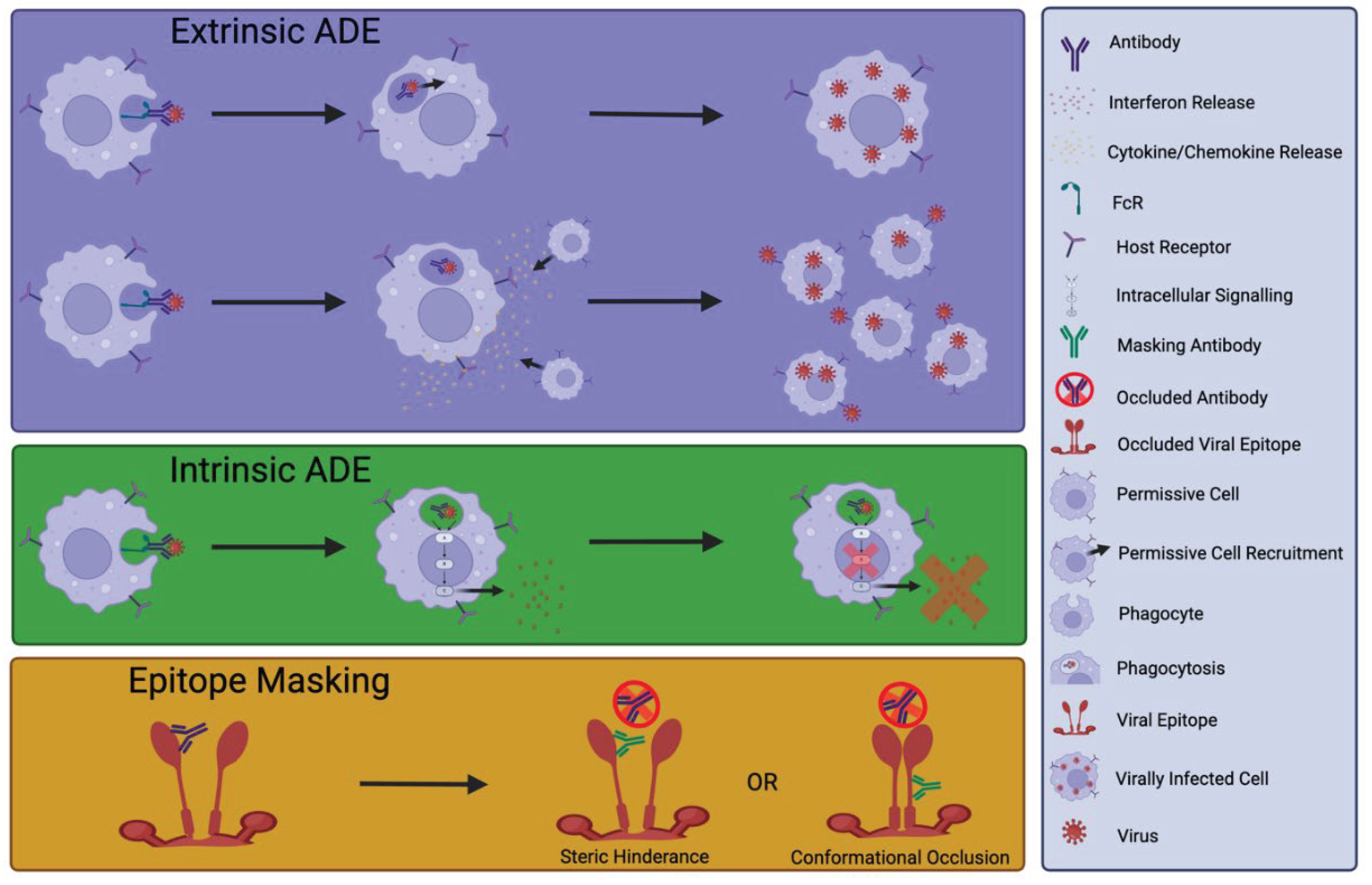 Preprints 102425 g002