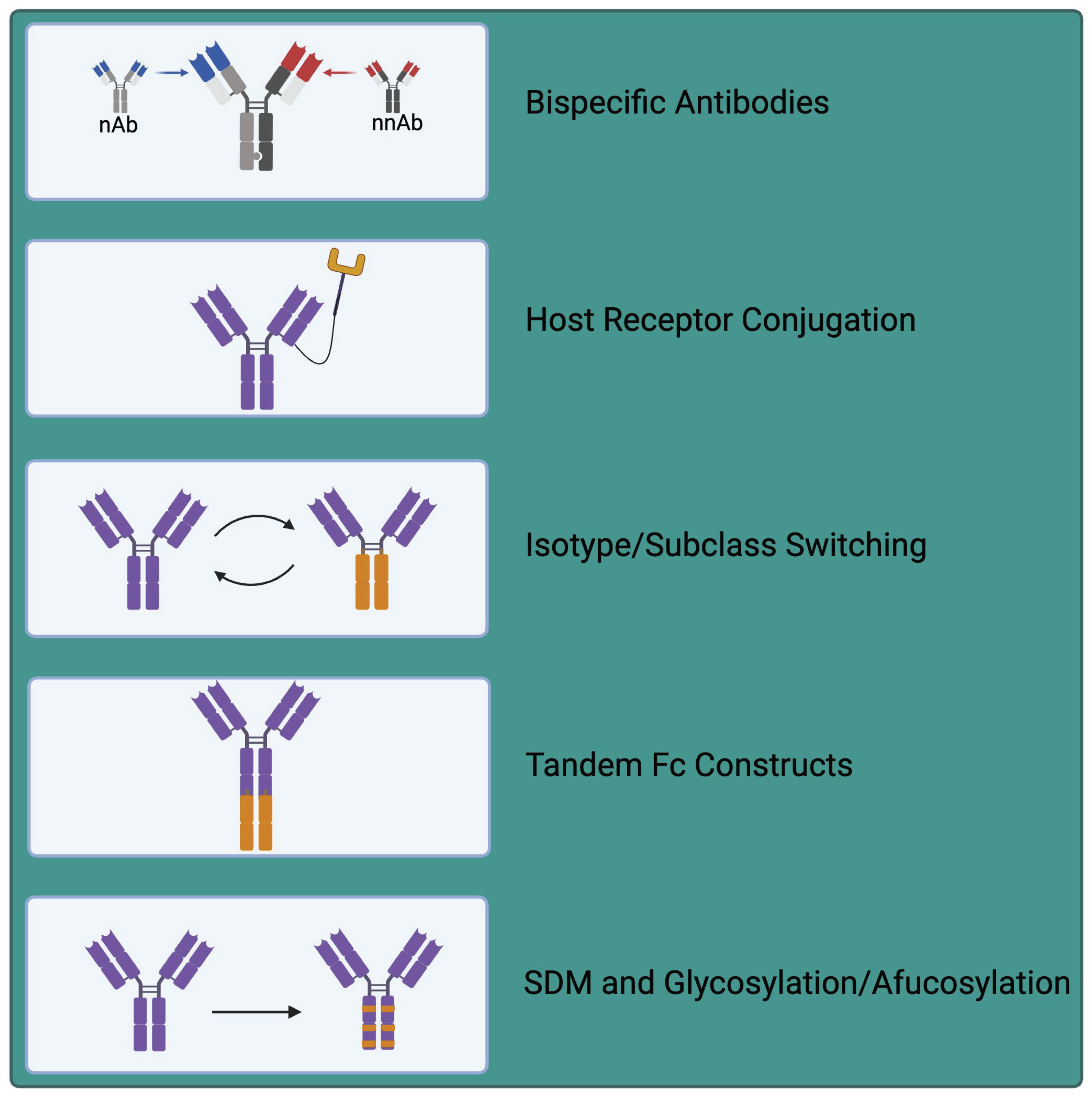 Preprints 102425 g003