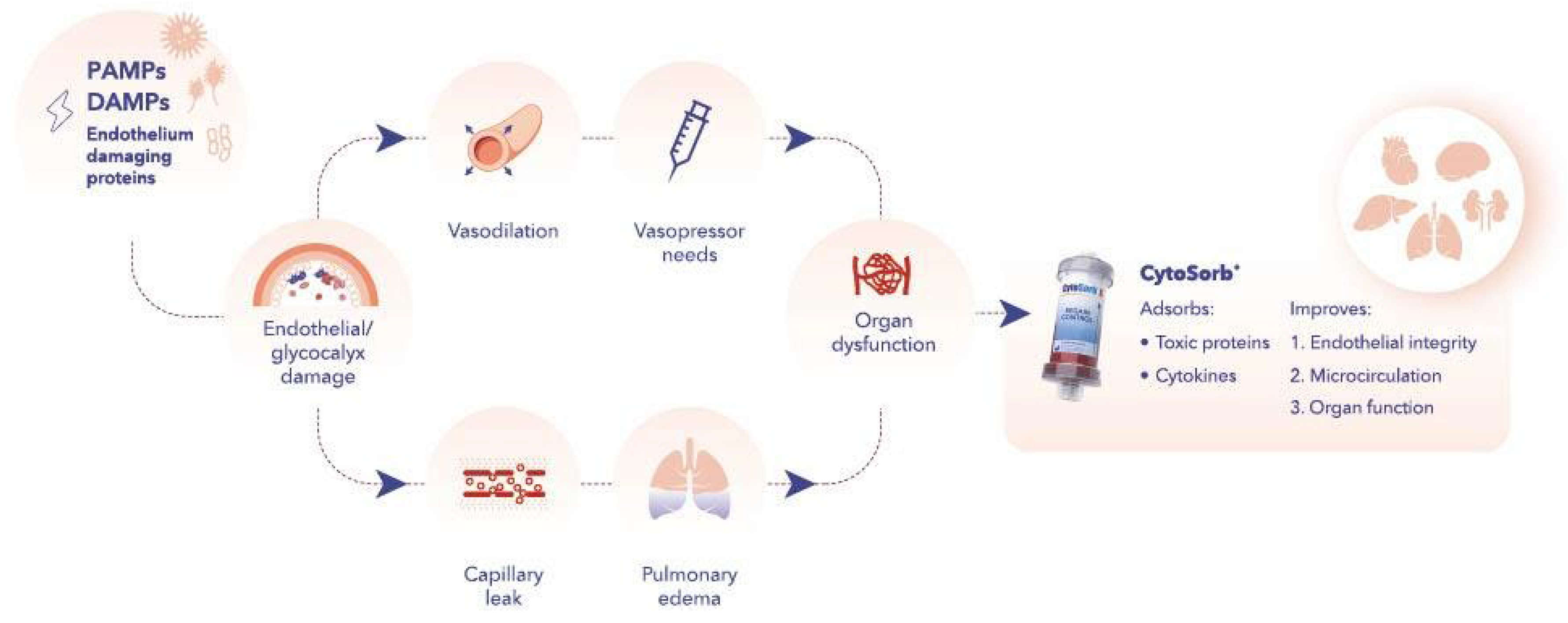 Preprints 122058 g001