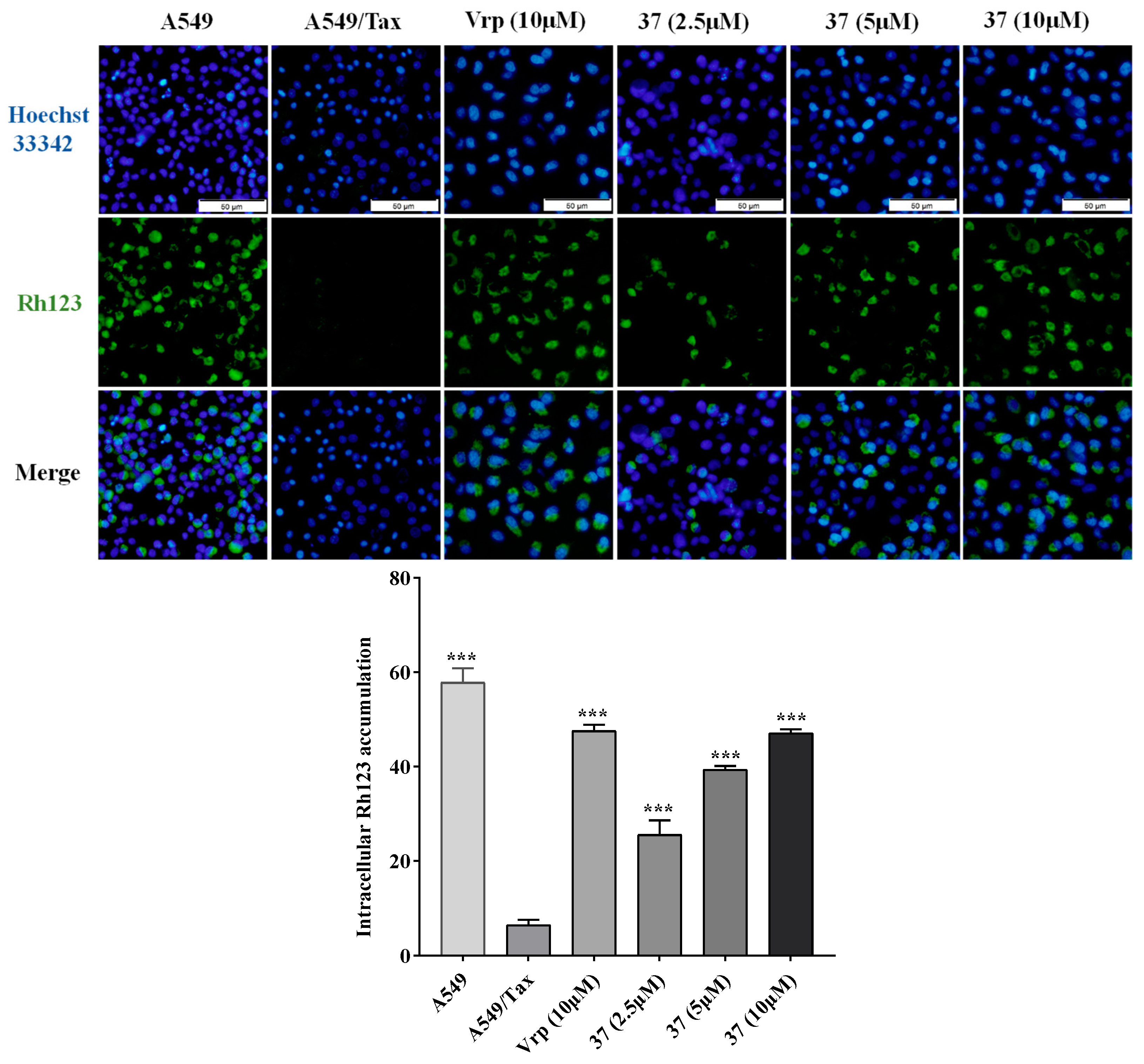 Preprints 86603 g004