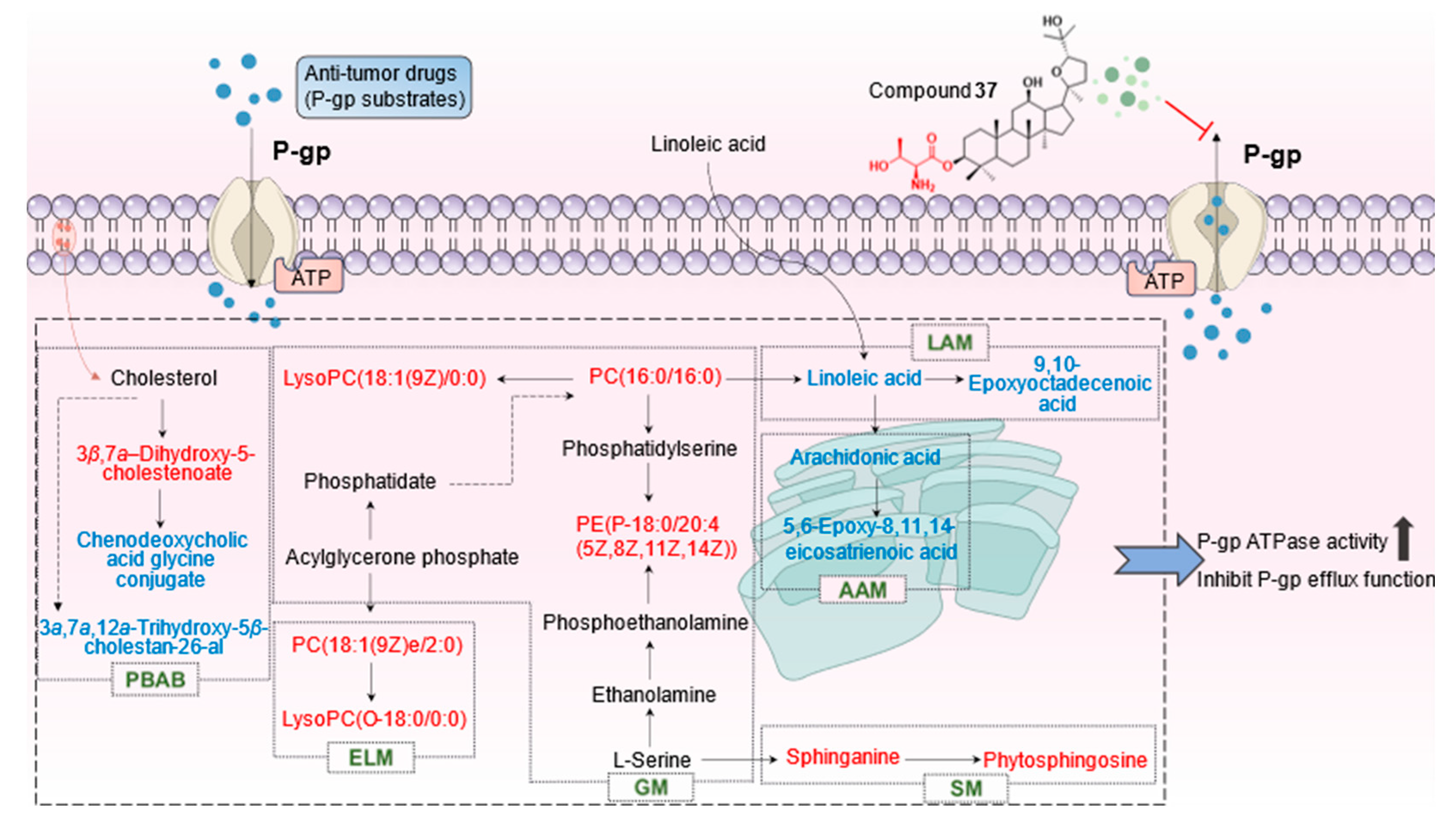 Preprints 86603 g011