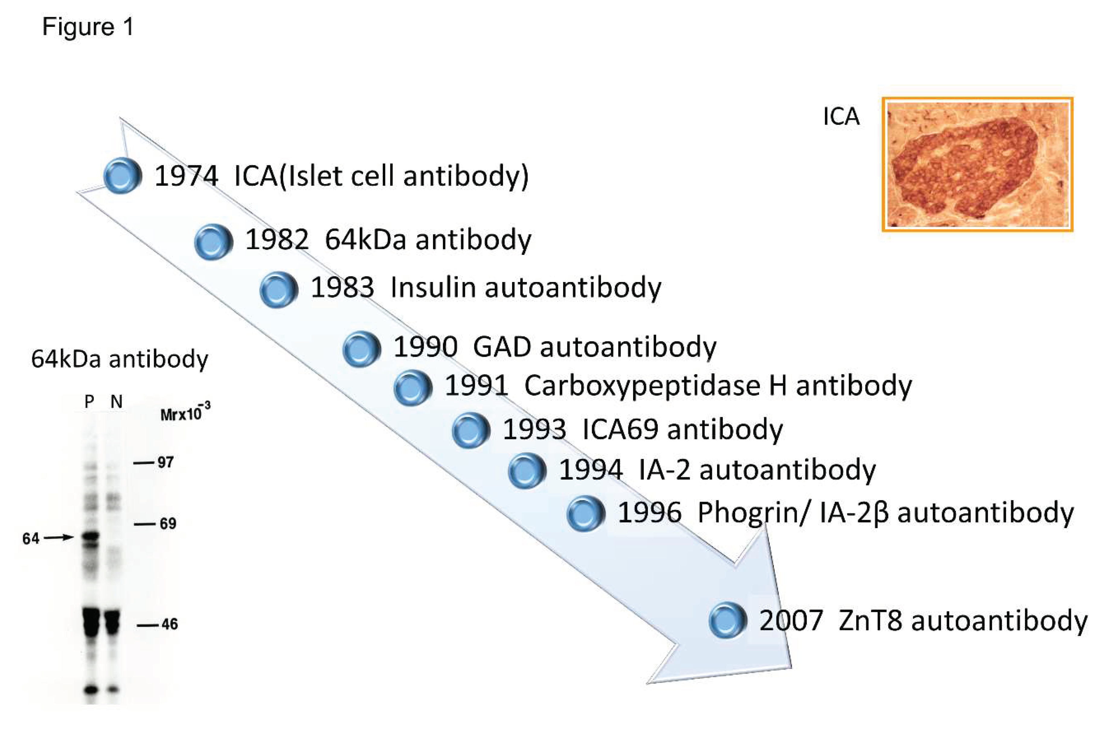 Preprints 72520 g001