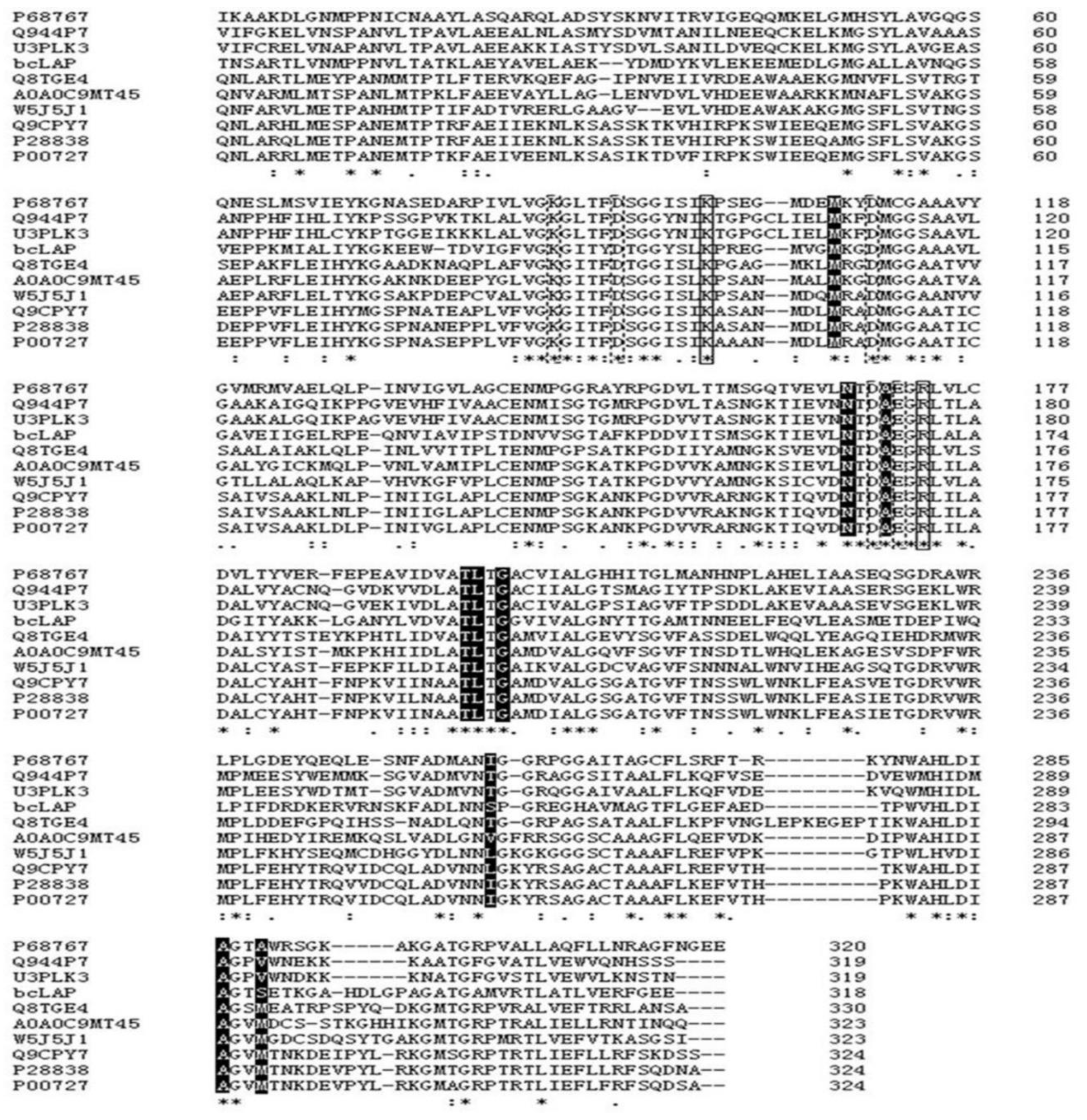 Preprints 86576 g001