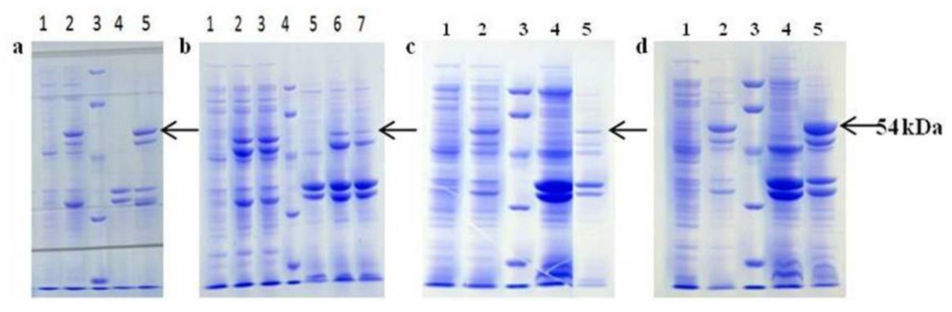 Preprints 86576 g002