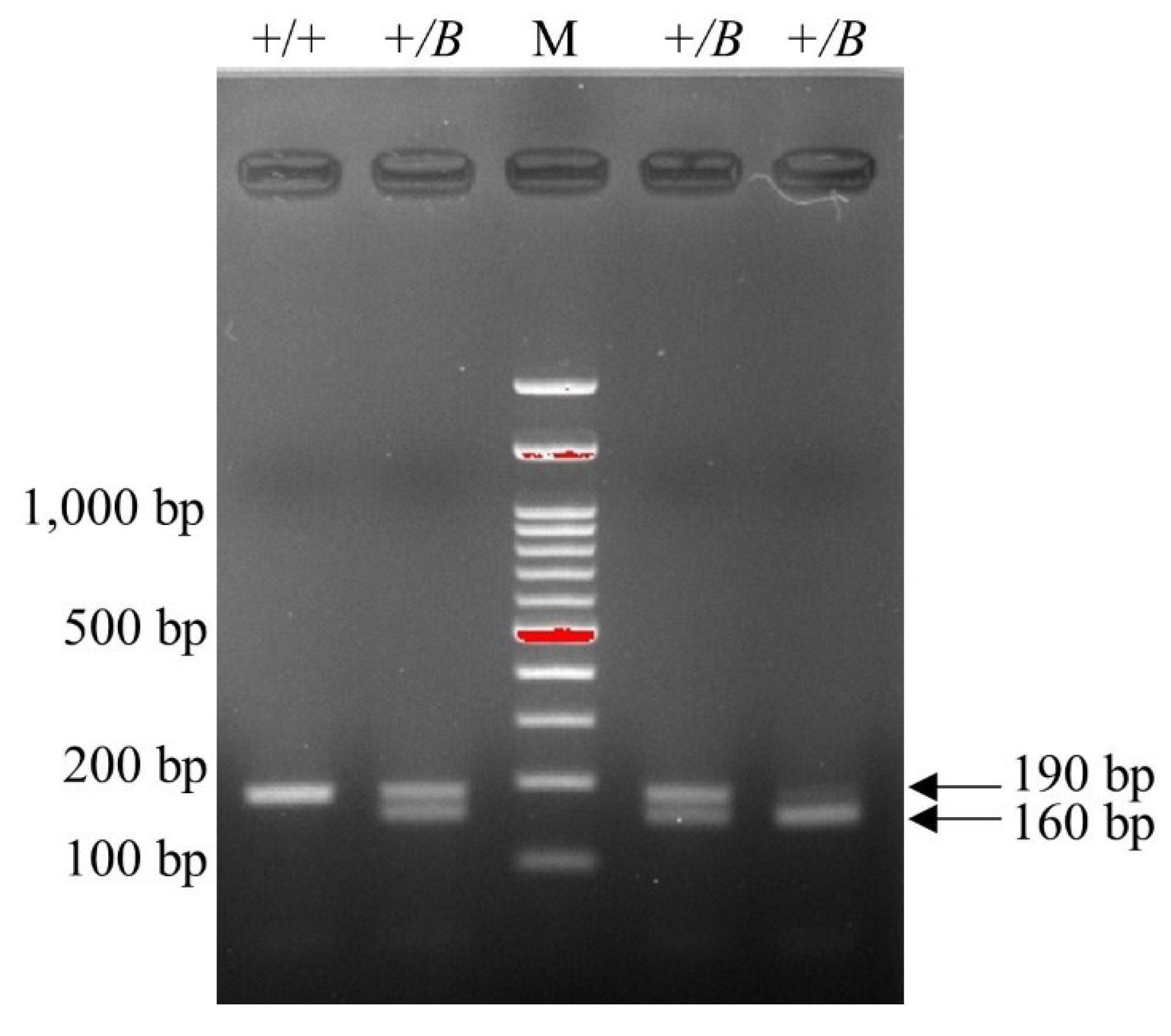 Preprints 98601 g001