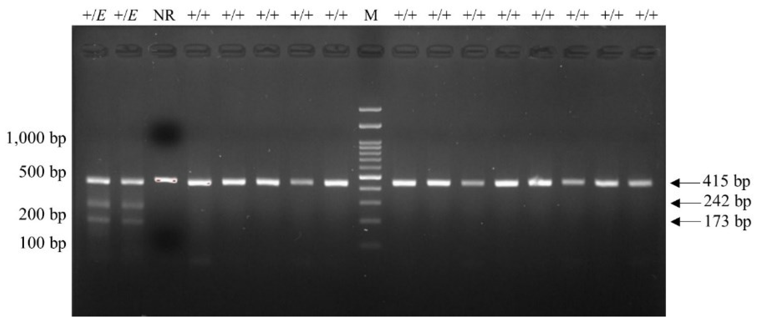 Preprints 98601 g002