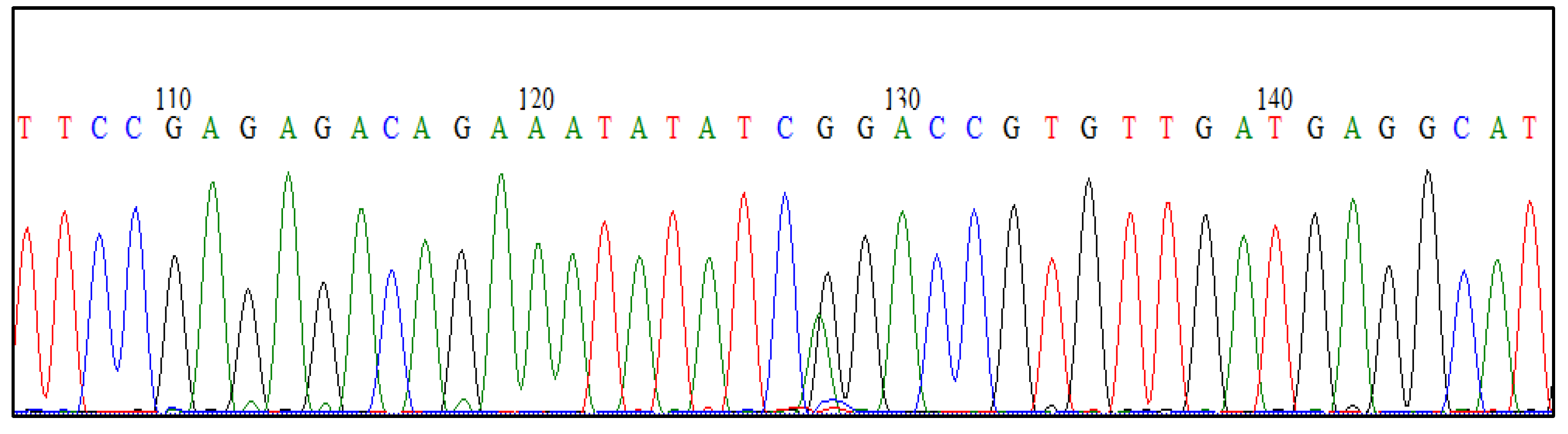 Preprints 98601 g003