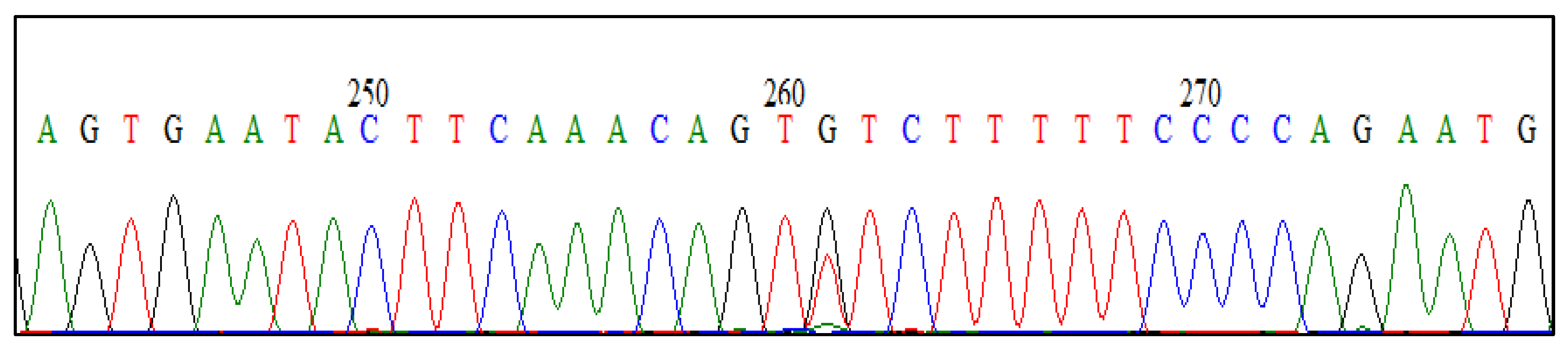 Preprints 98601 g004