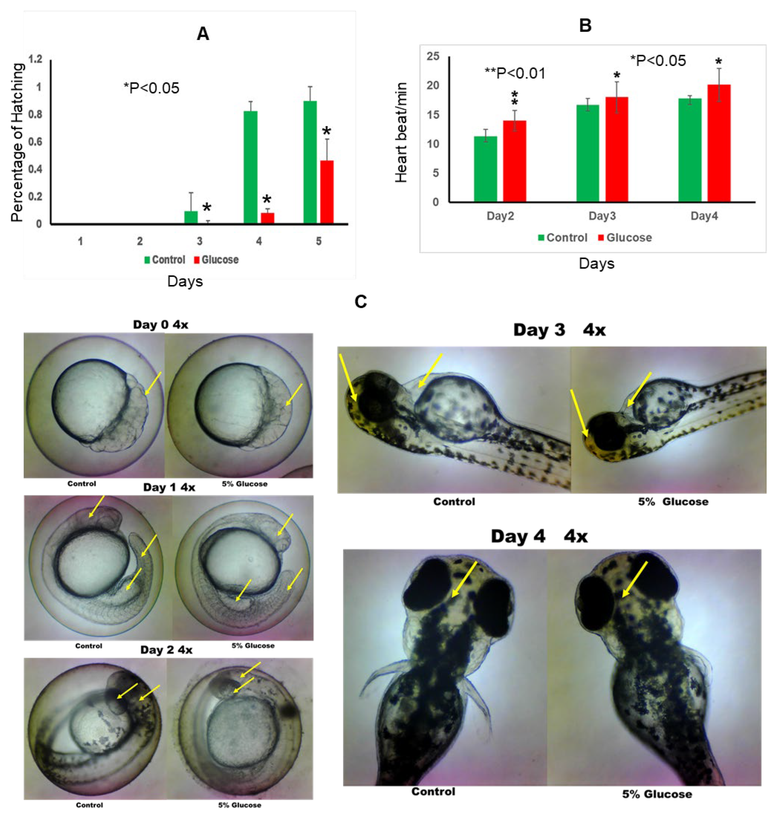 Preprints 111839 g001