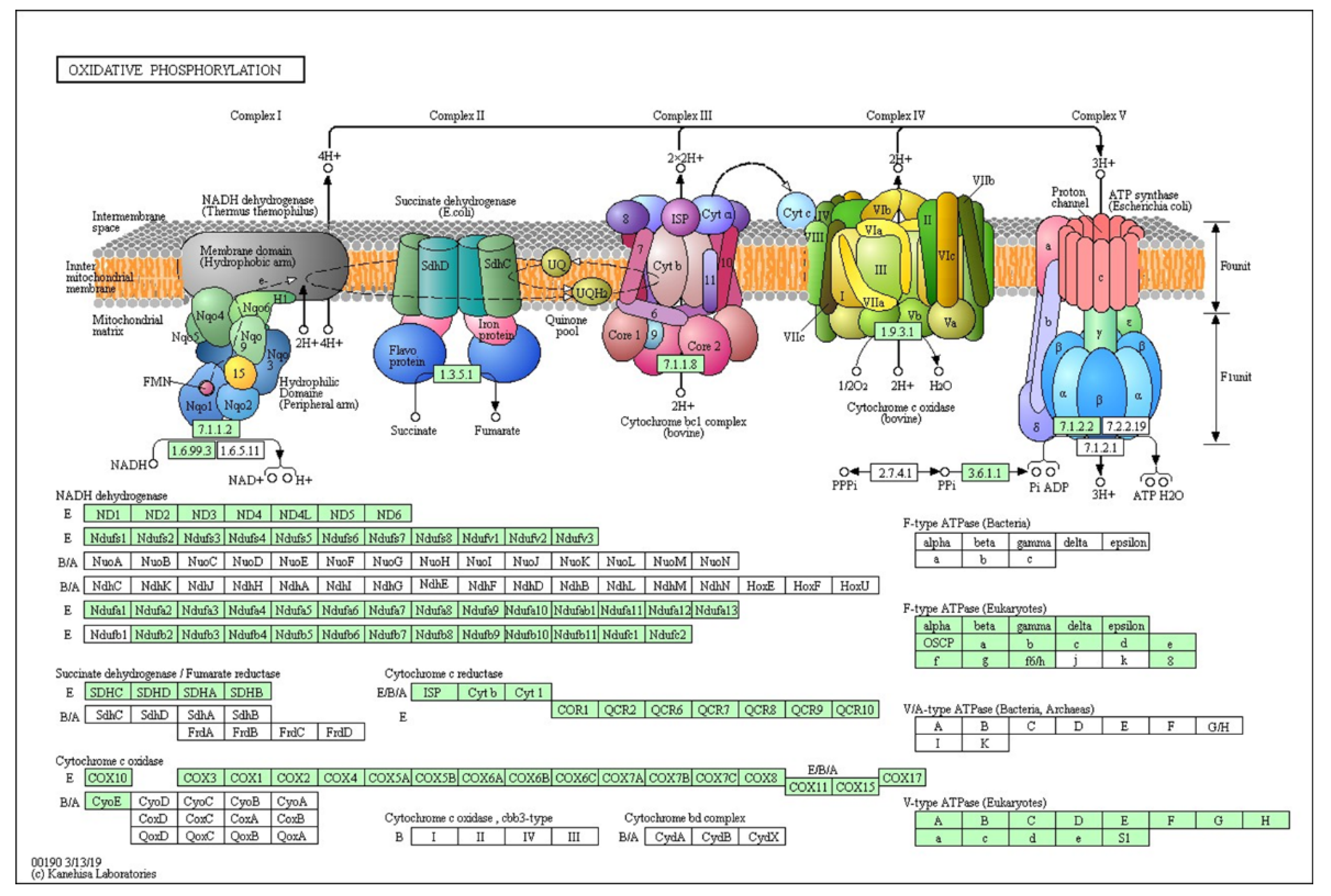 Preprints 111839 g004