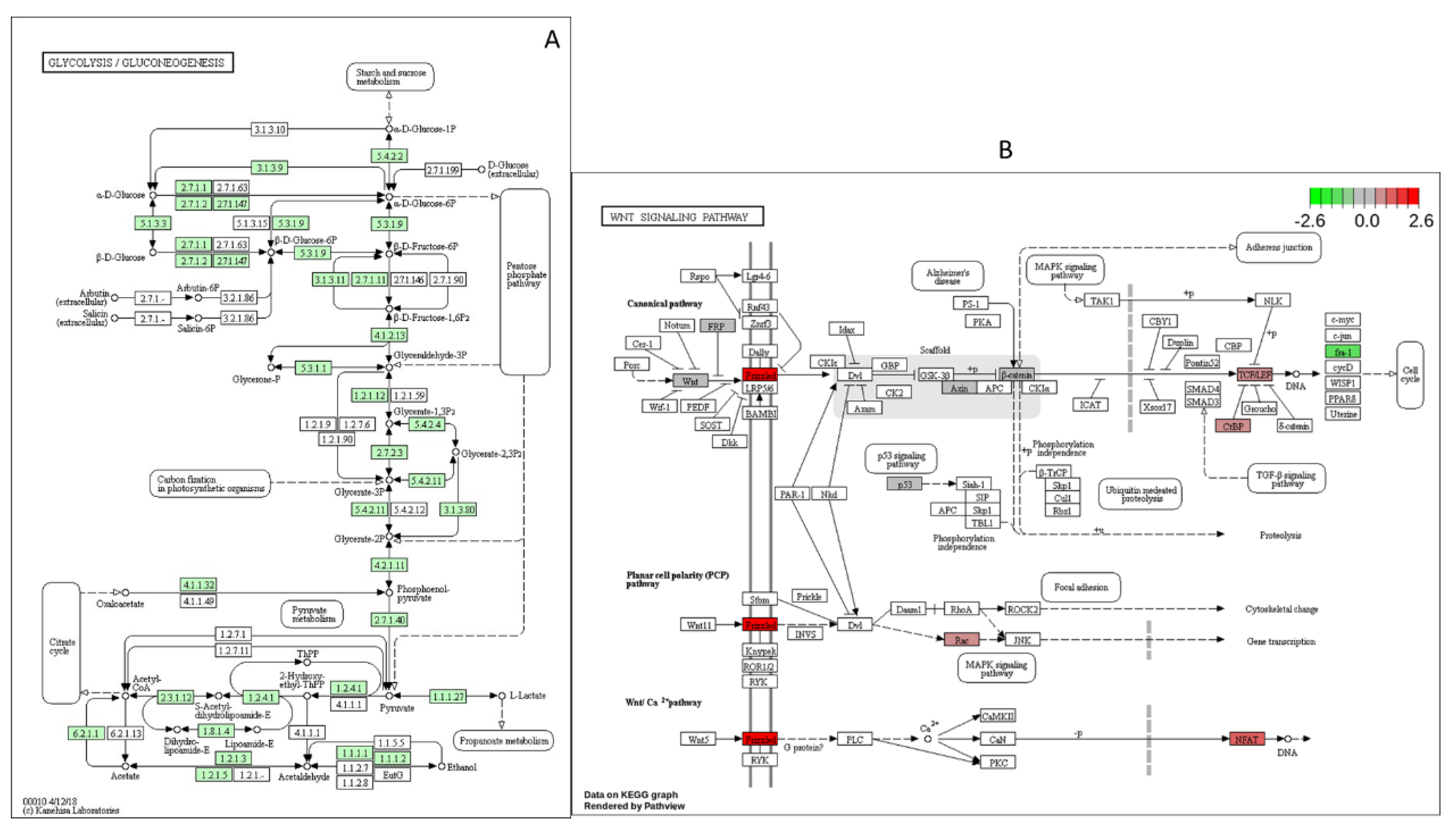 Preprints 111839 g005