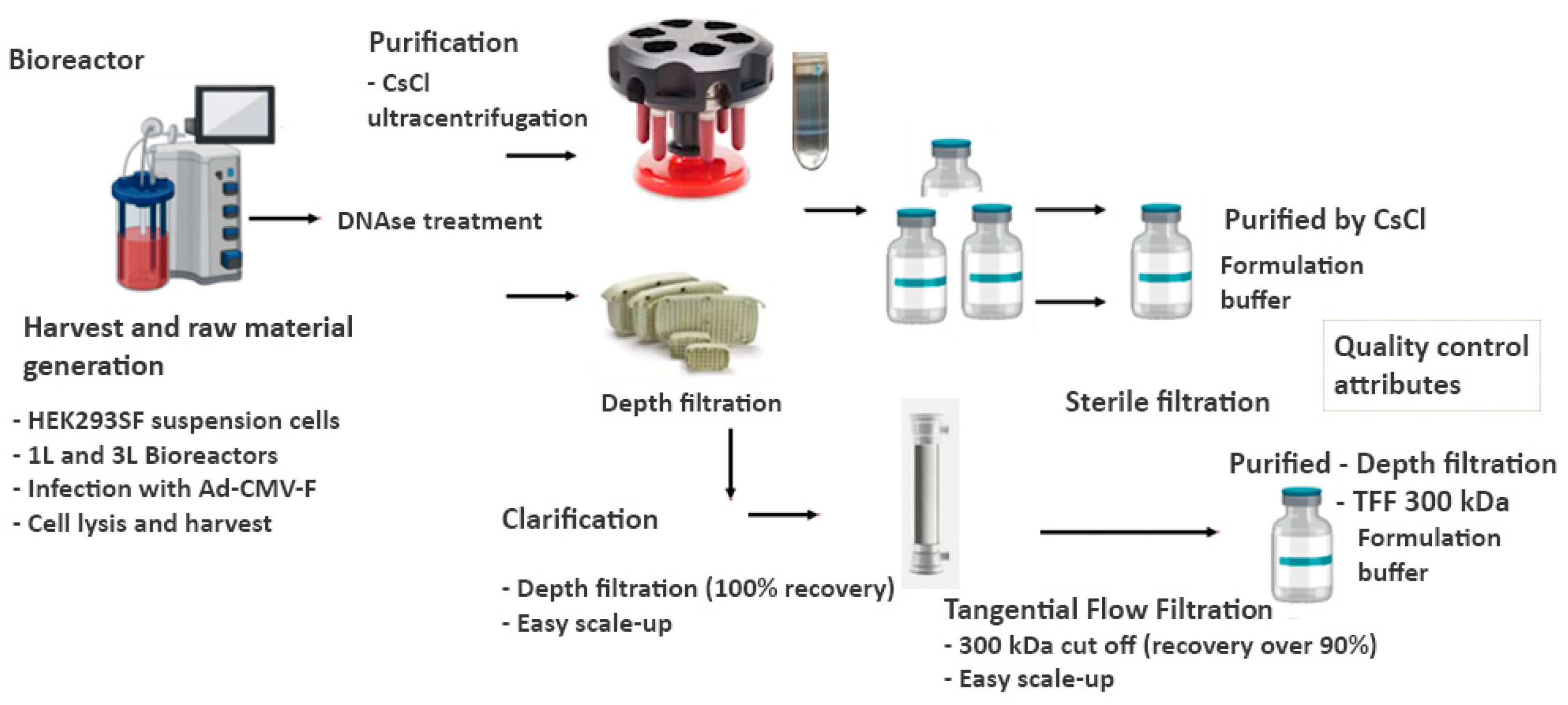 Preprints 90193 g001