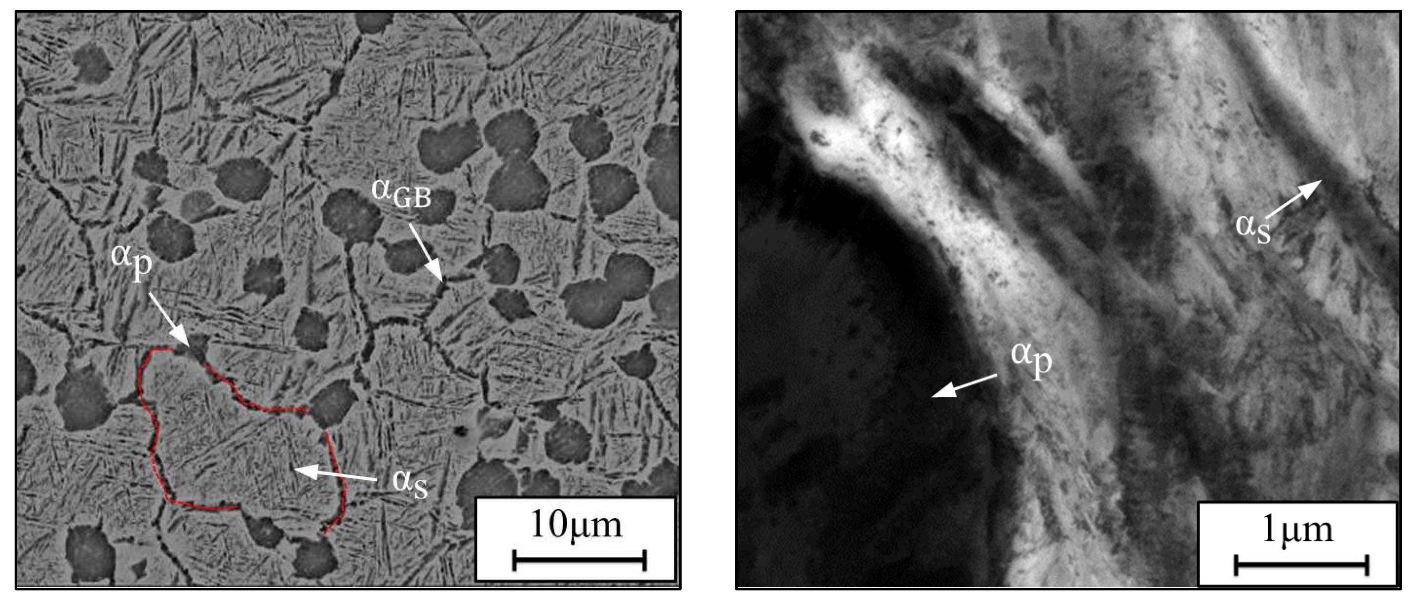 Preprints 95192 g001a