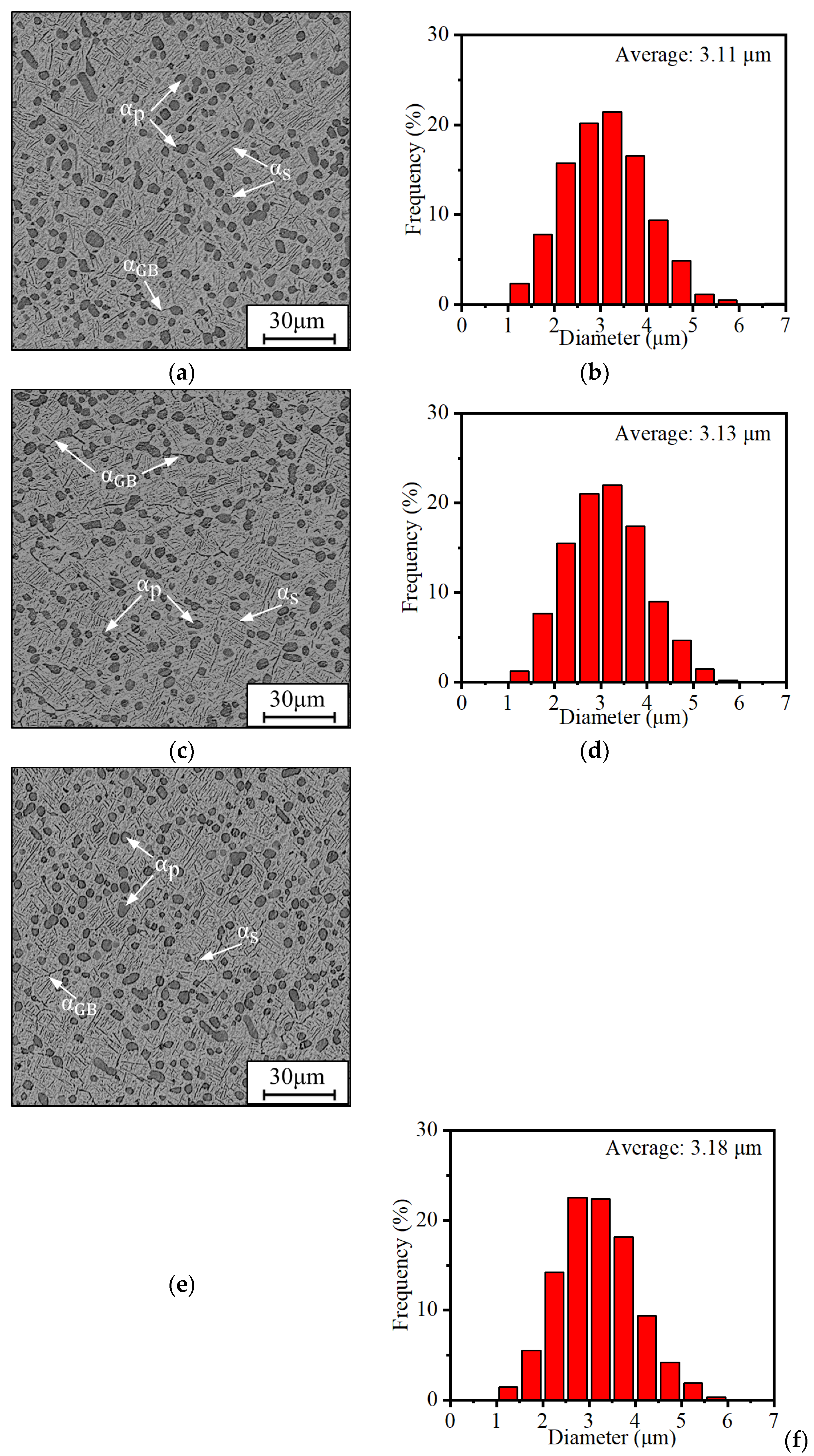 Preprints 95192 g002a