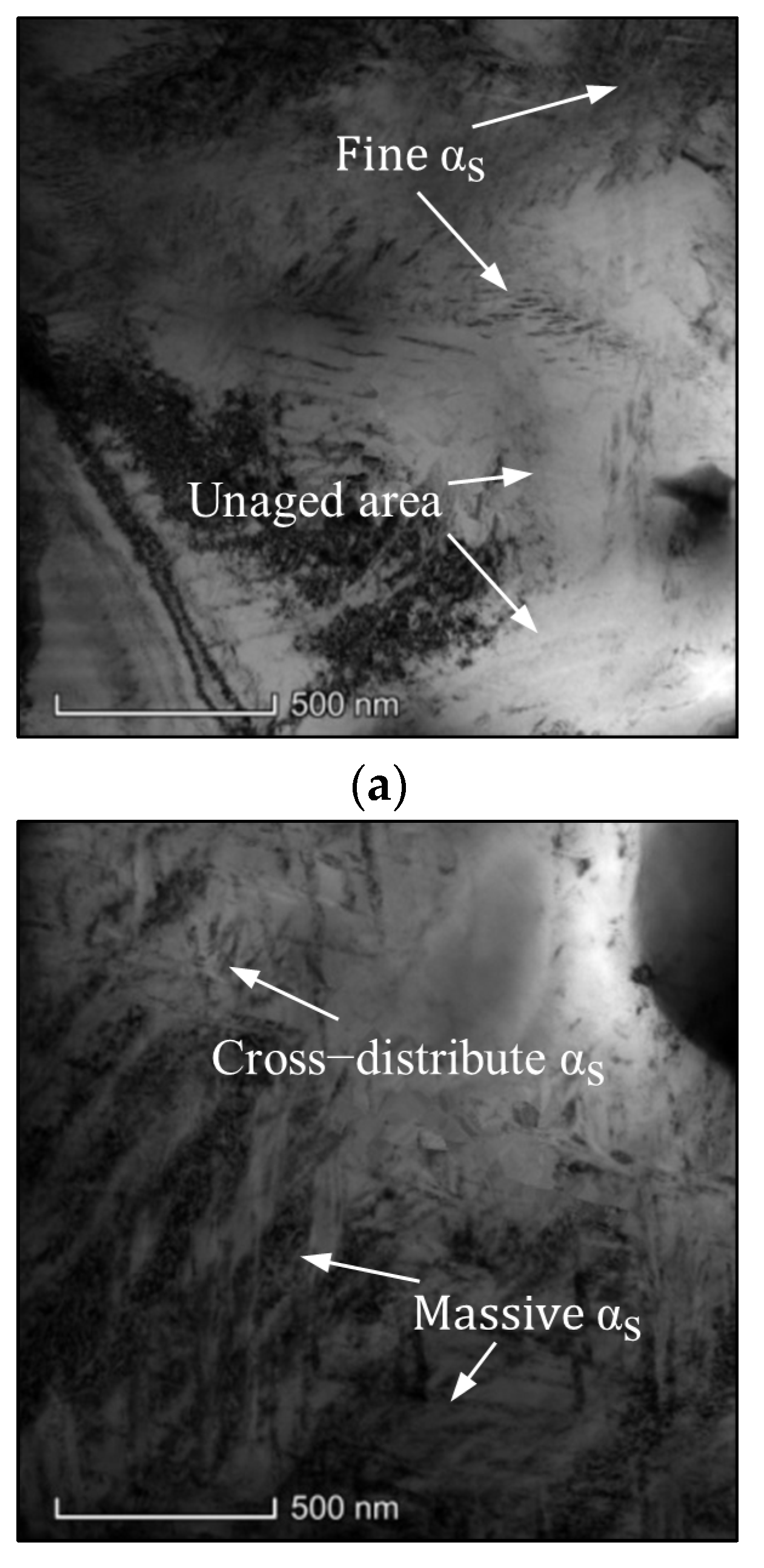 Preprints 95192 g003a