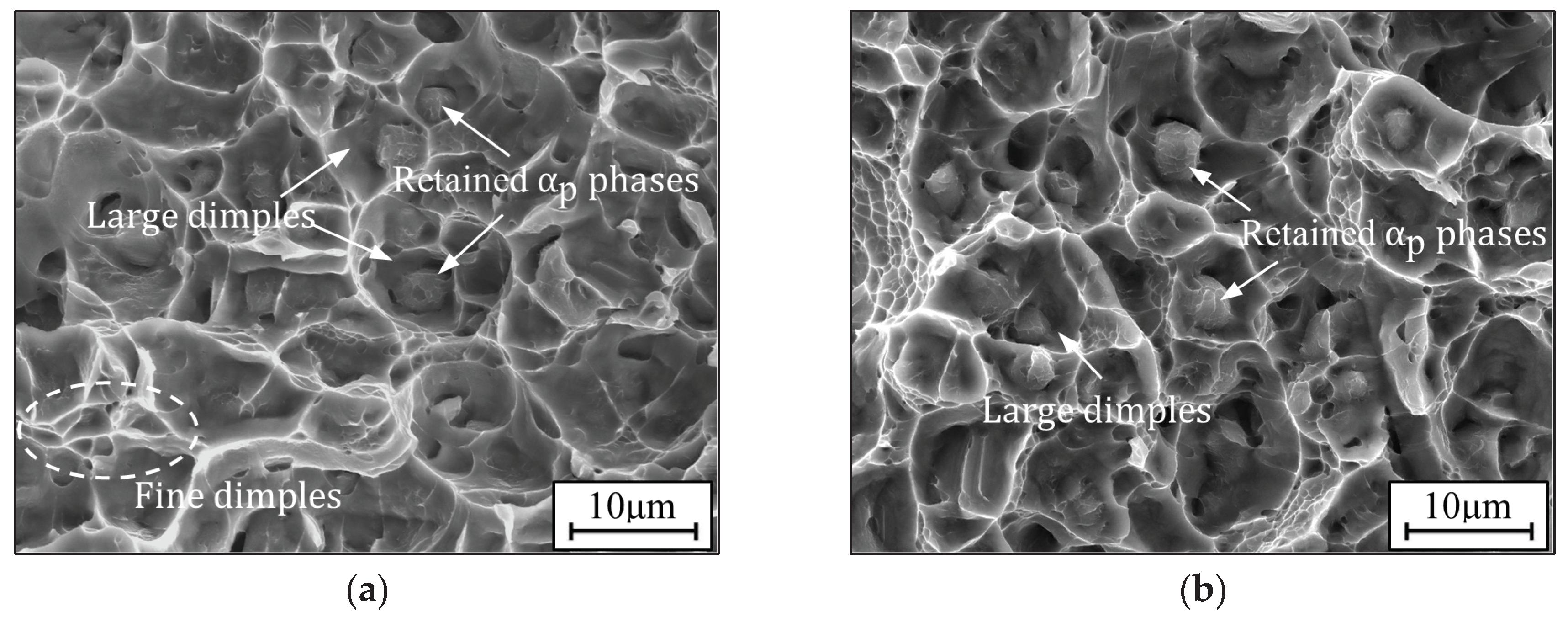 Preprints 95192 g008a