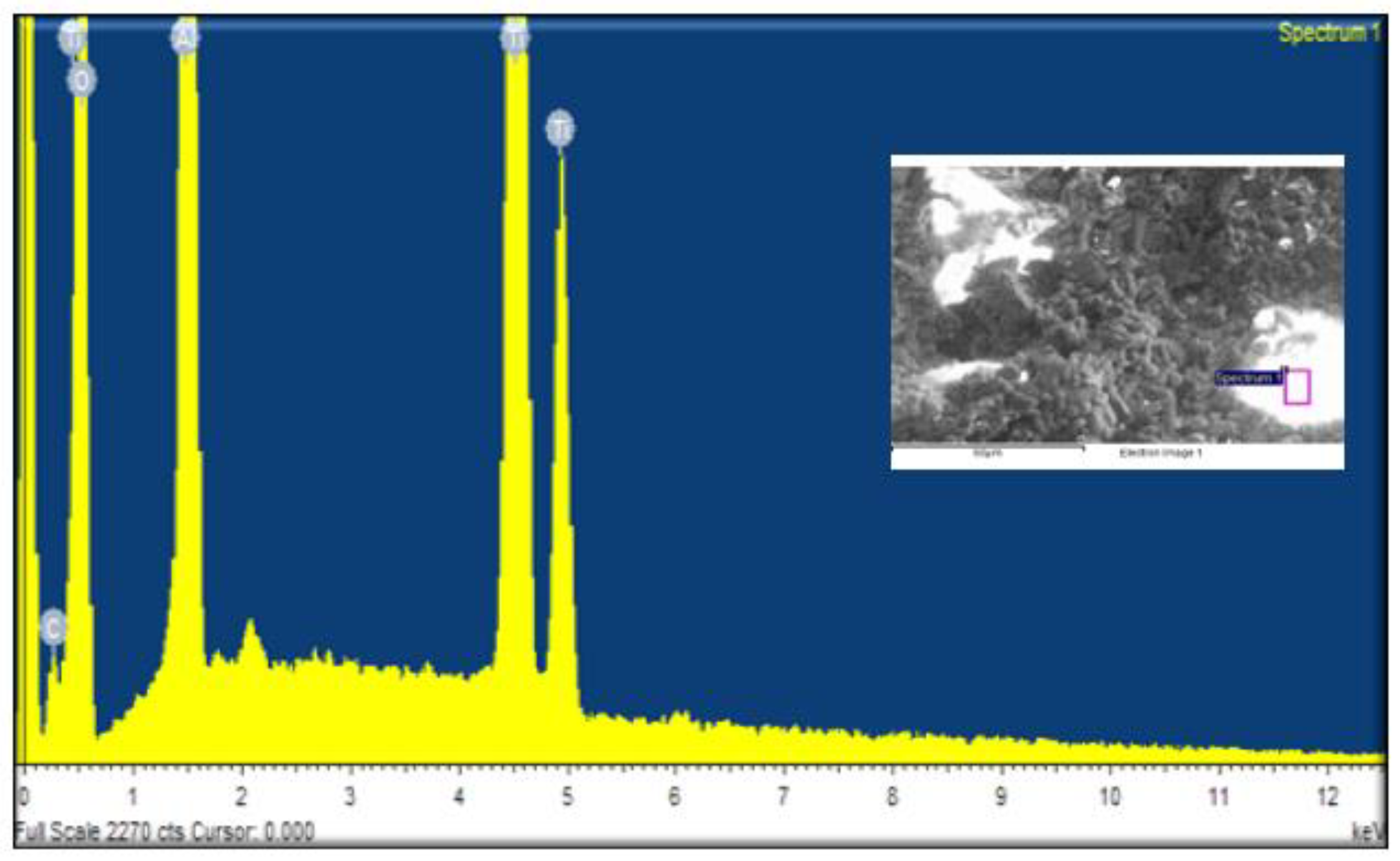 Preprints 87884 g006