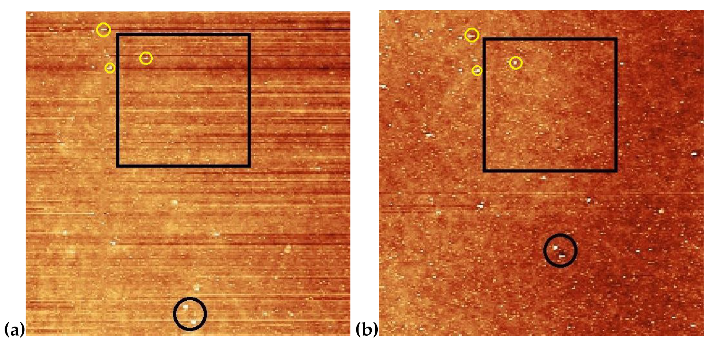 Preprints 83459 g005