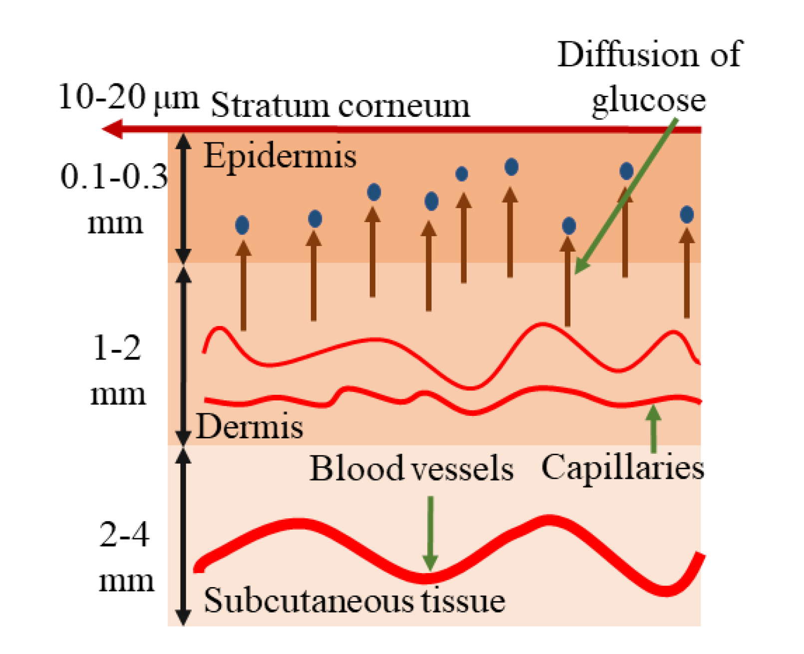 Preprints 119728 g002