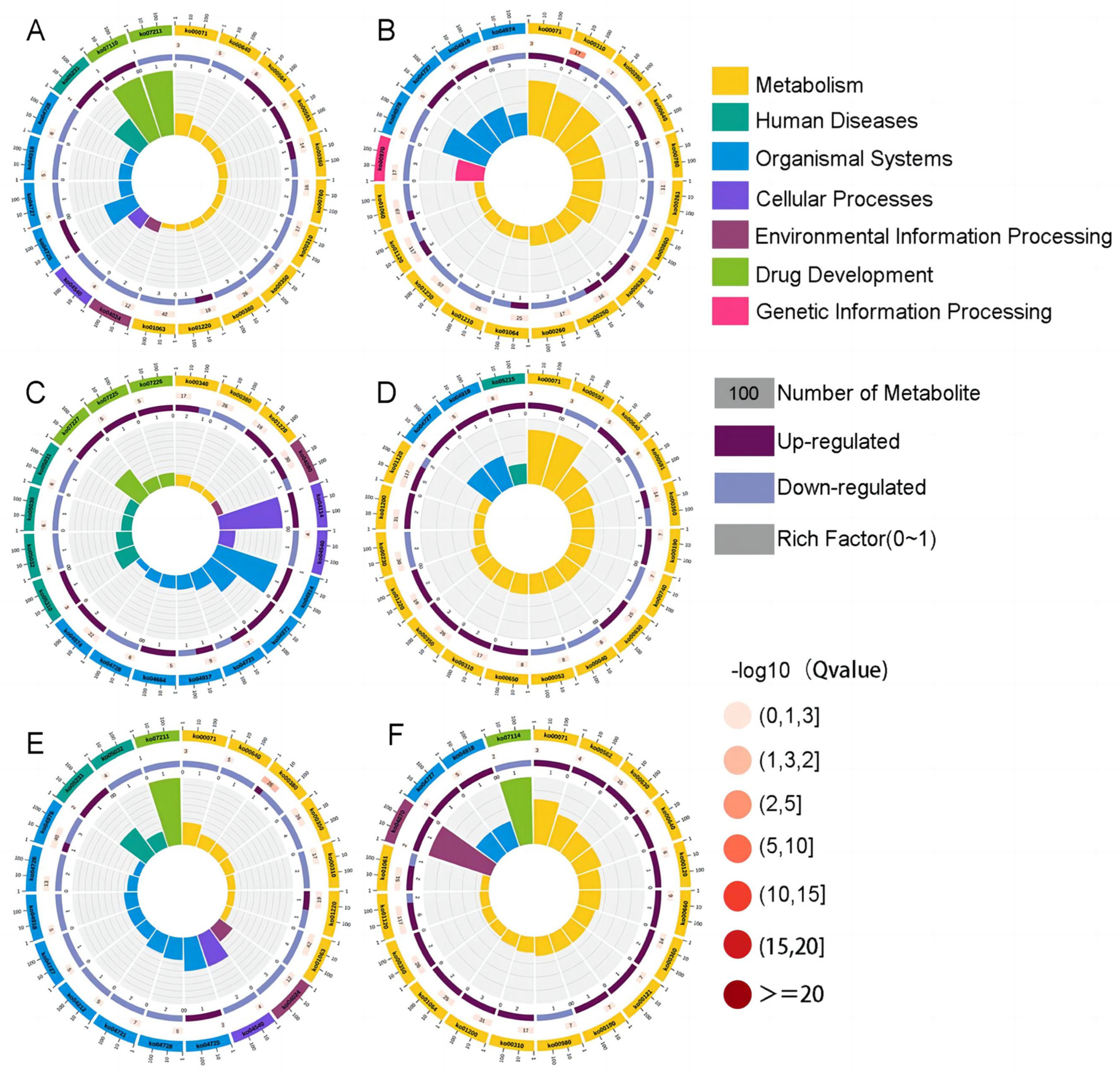 Preprints 93893 g002