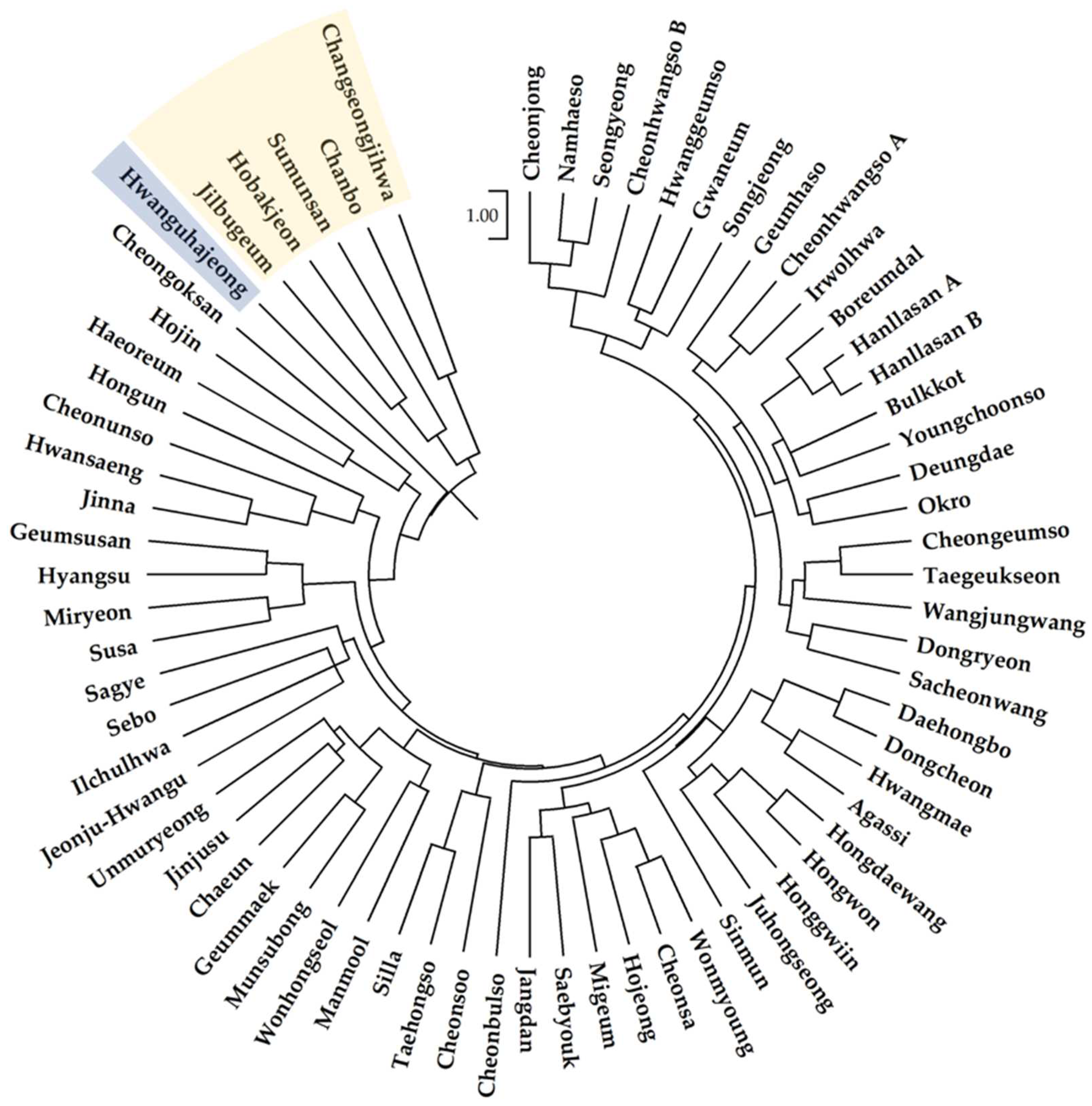 Preprints 79826 g003