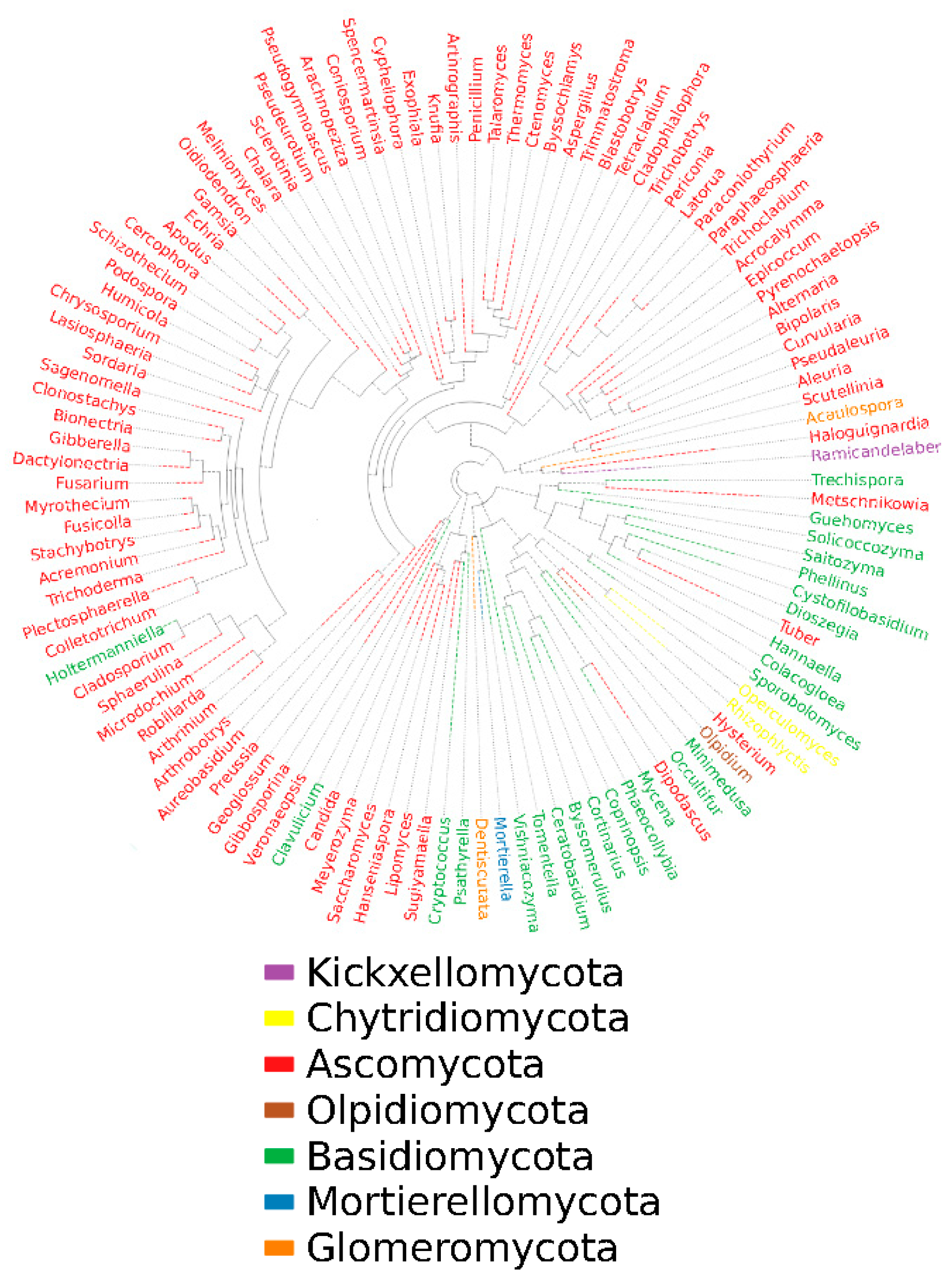 Preprints 84644 g004