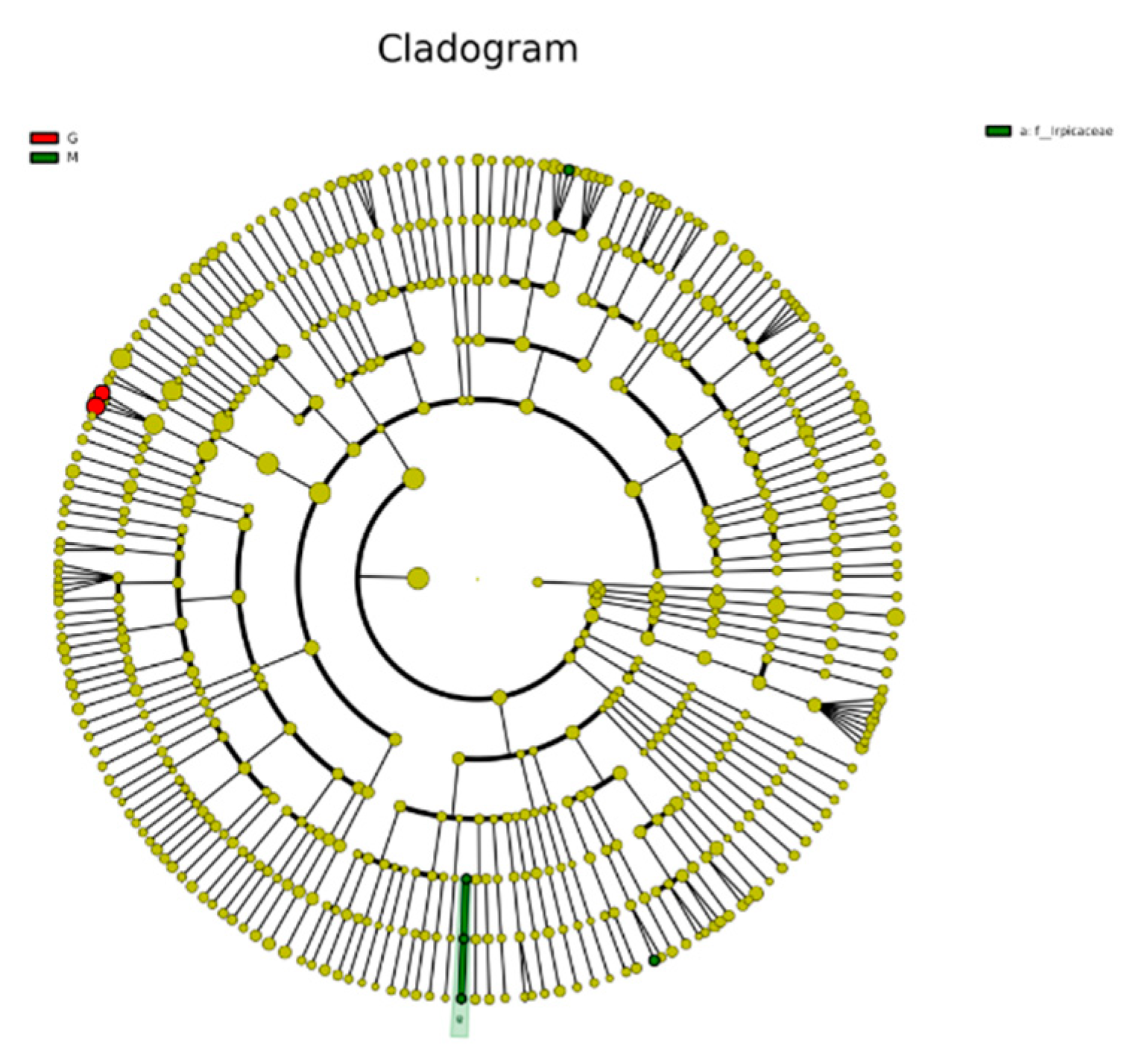 Preprints 84644 g009