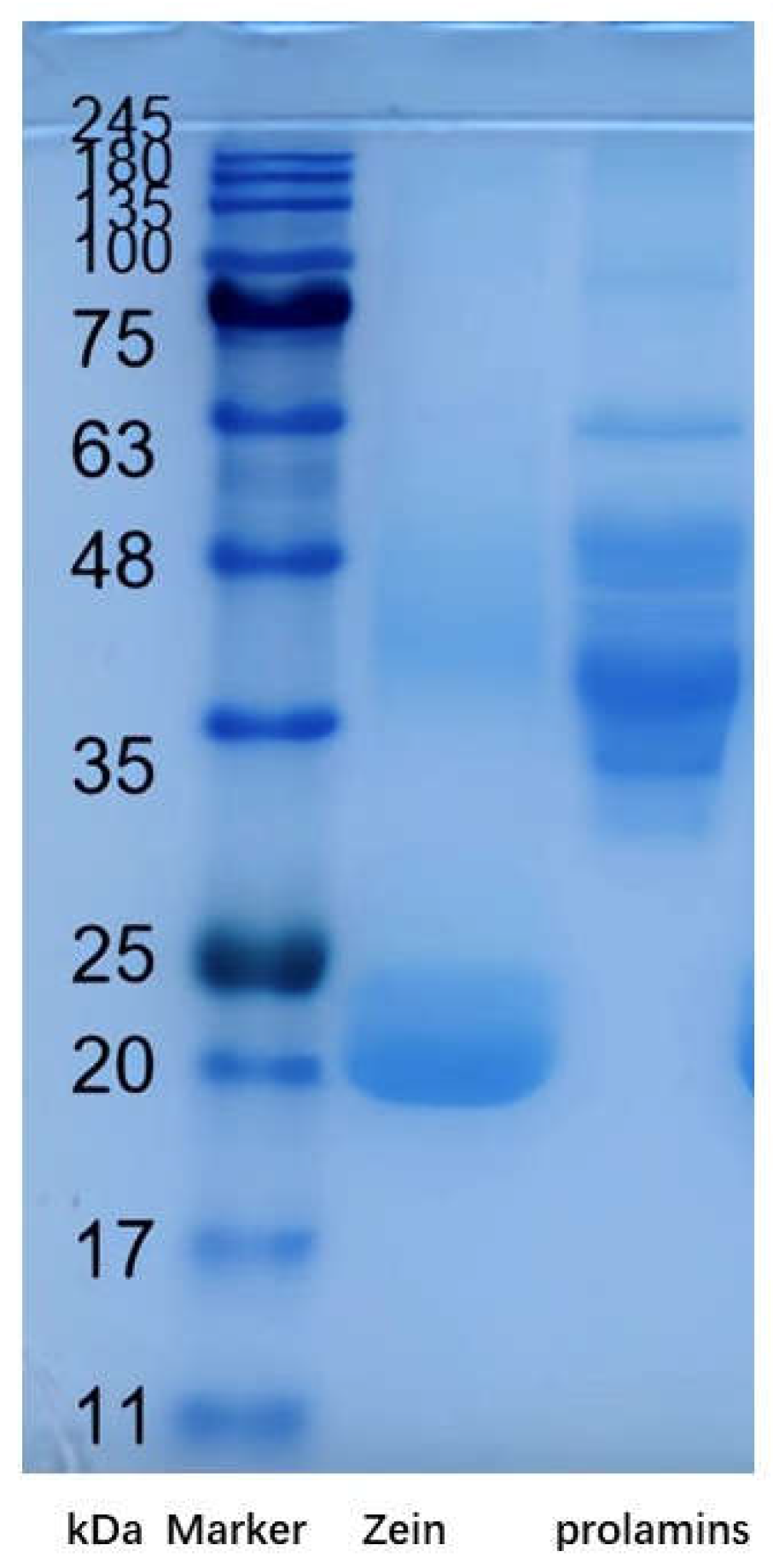 Preprints 77117 g001