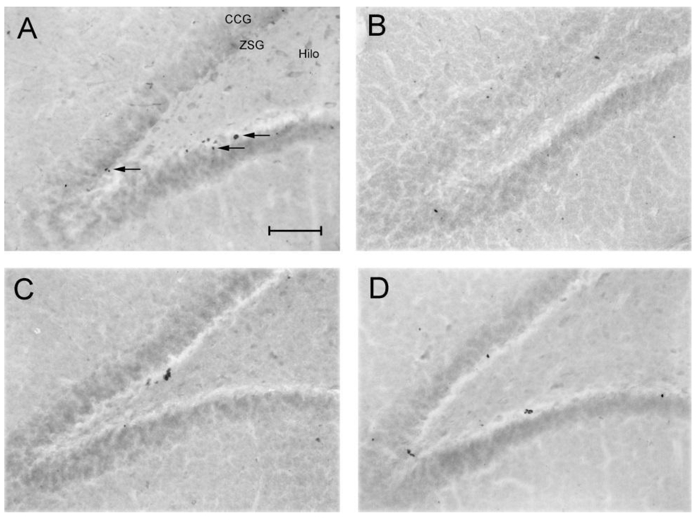 Preprints 105095 g005