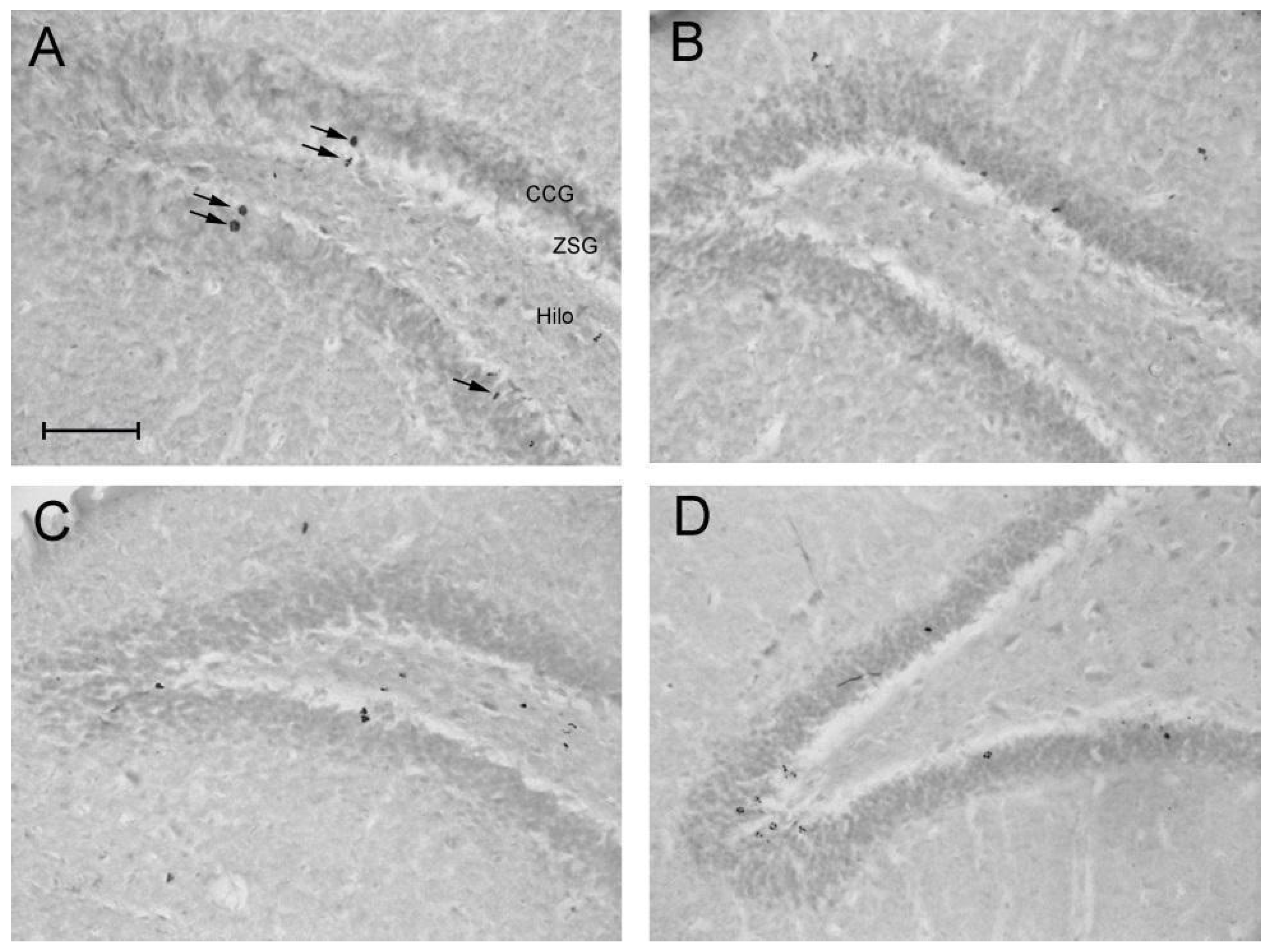 Preprints 105095 g007