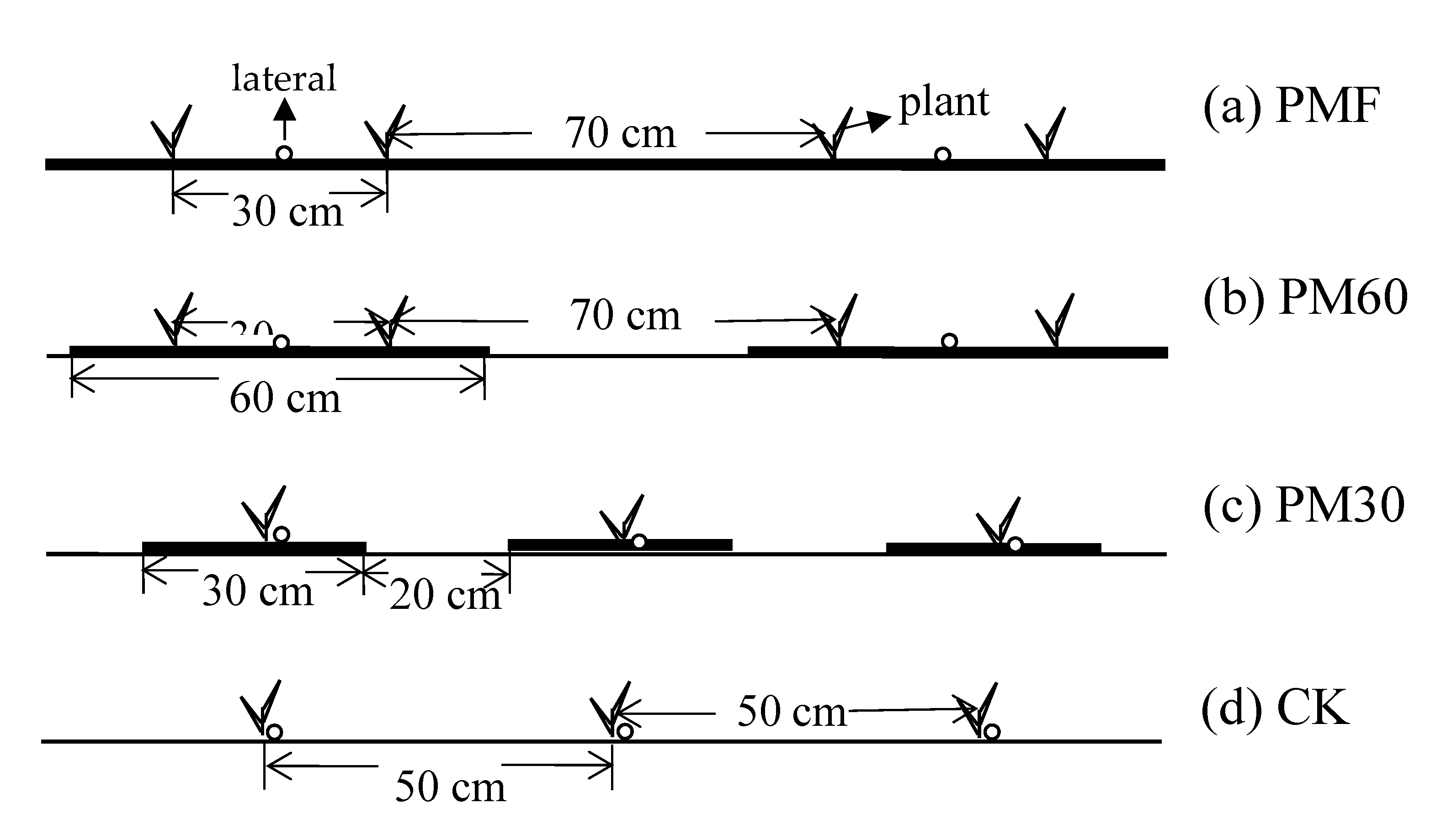 Preprints 111373 g001