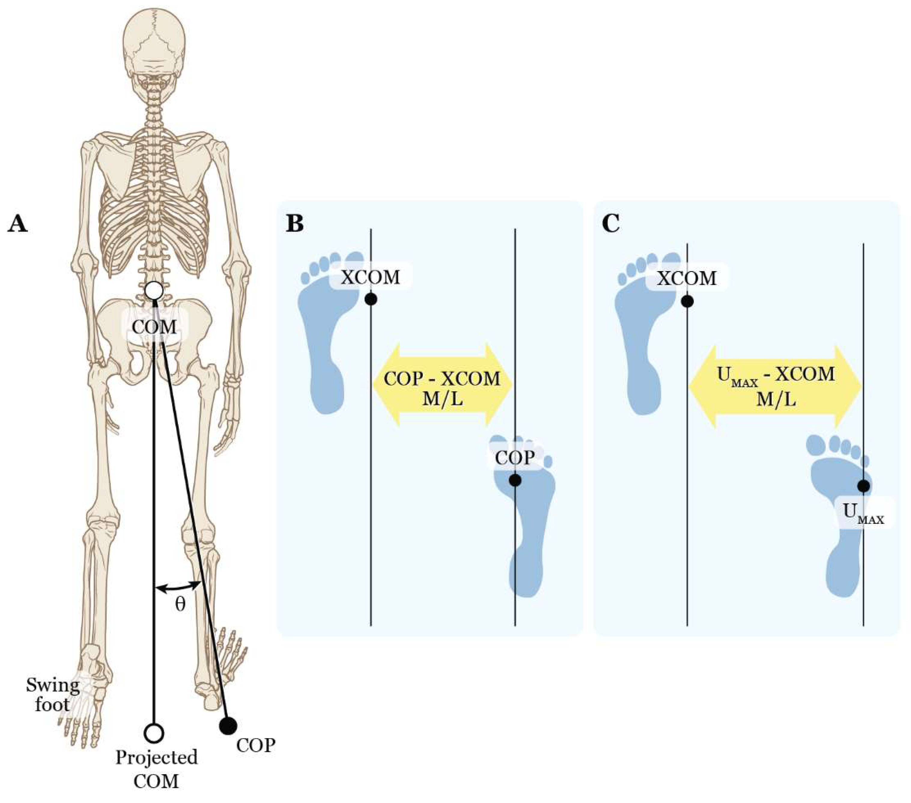 Preprints 94527 g004