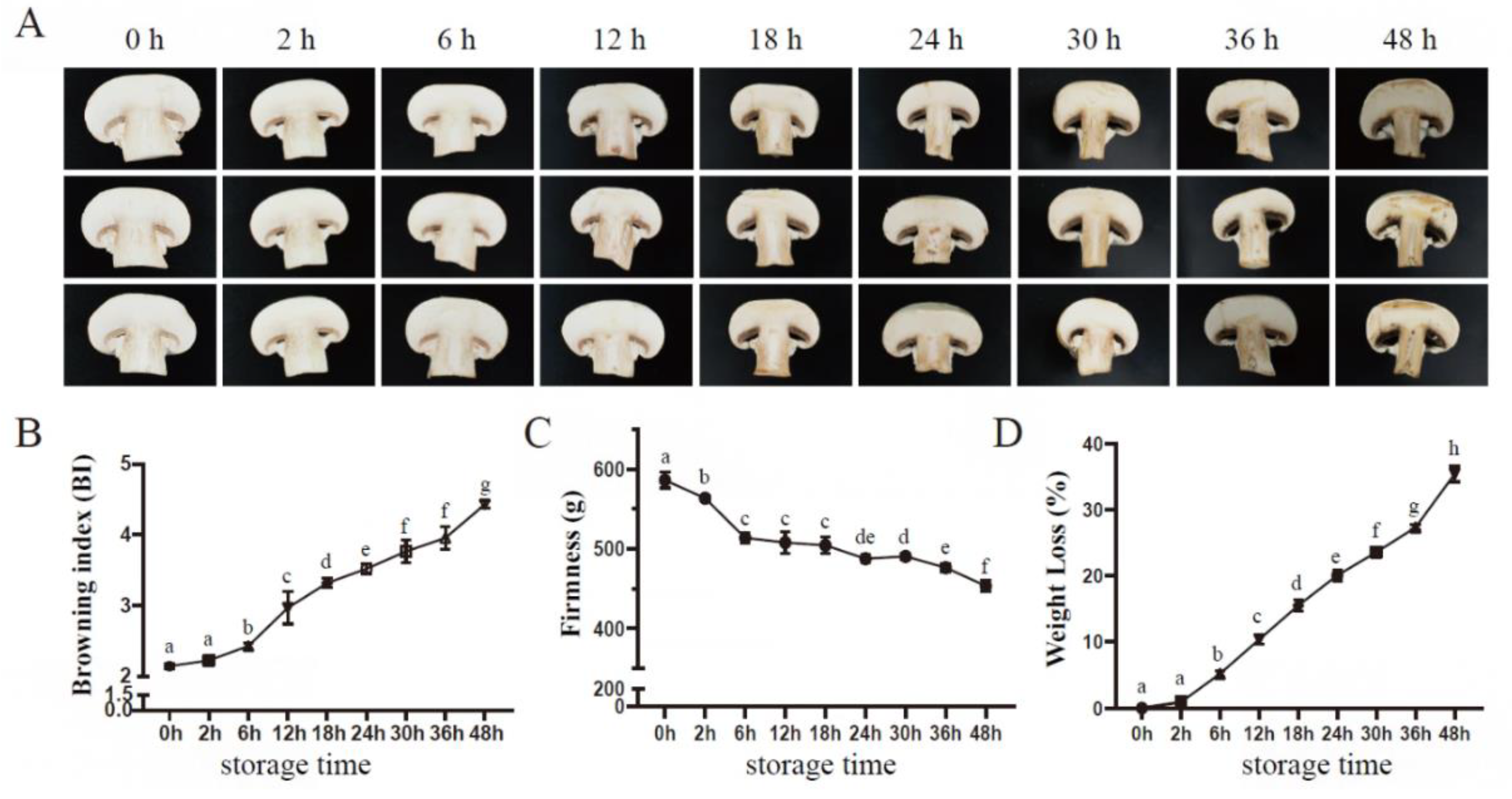 Preprints 108635 g001