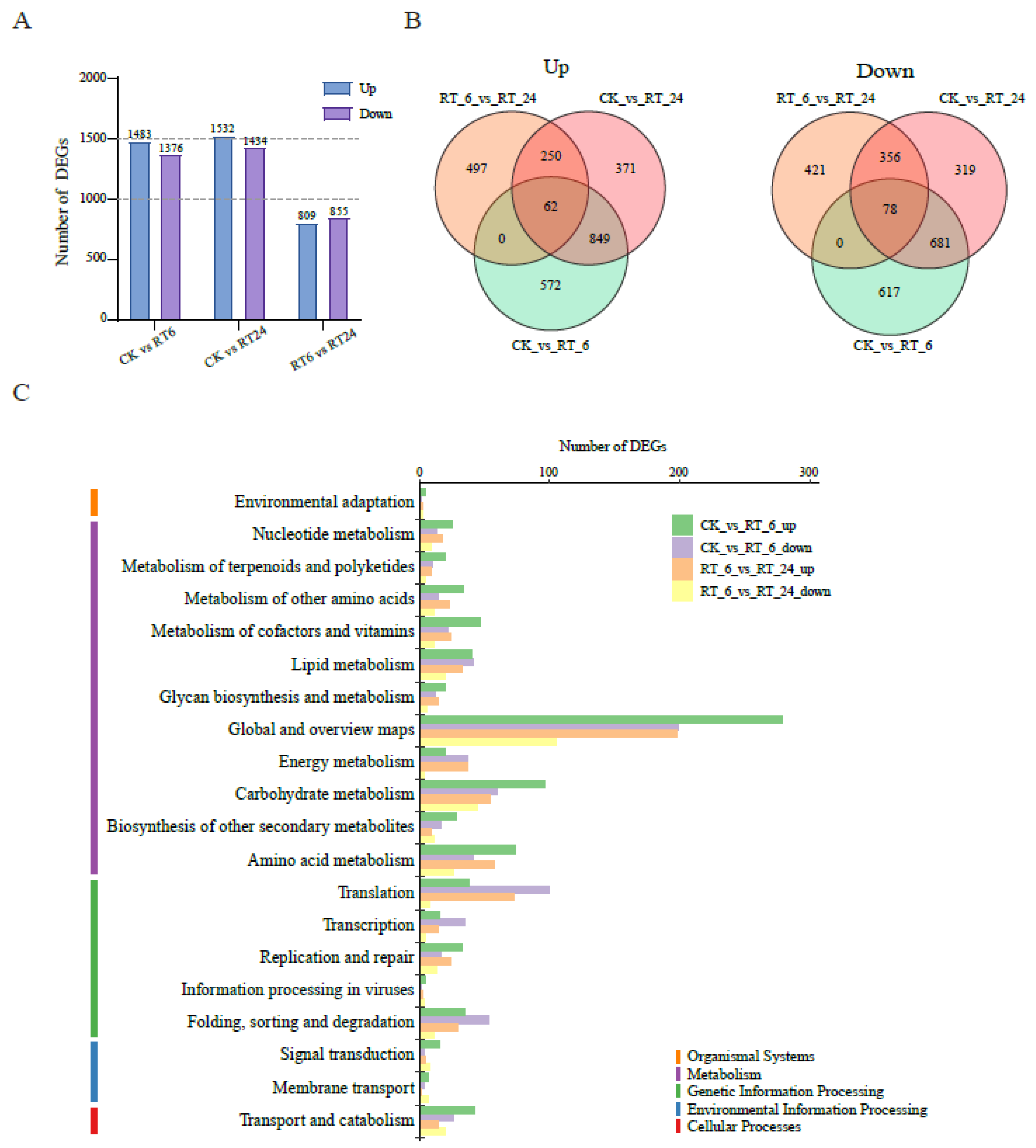 Preprints 108635 g005