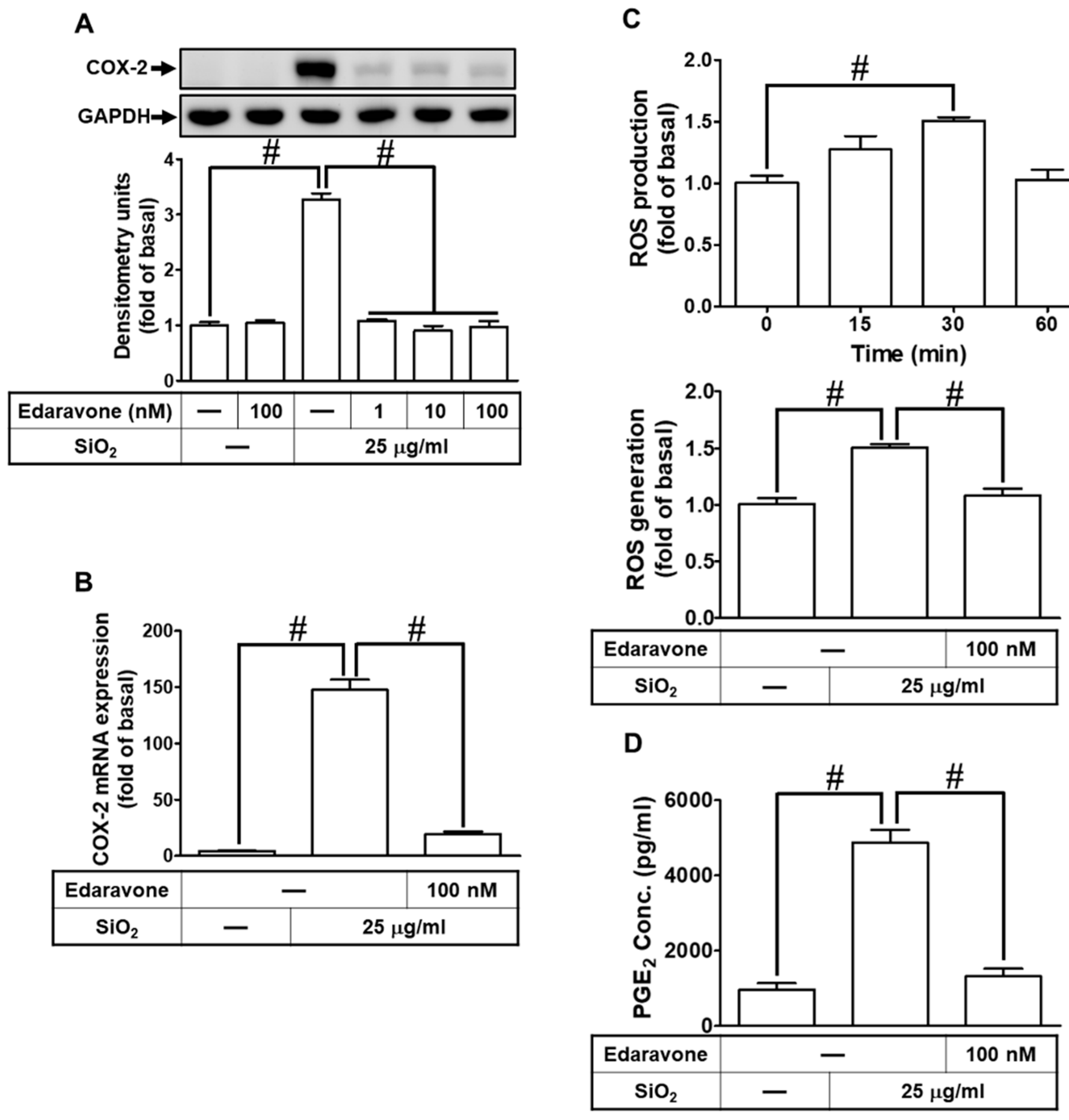 Preprints 82745 i003