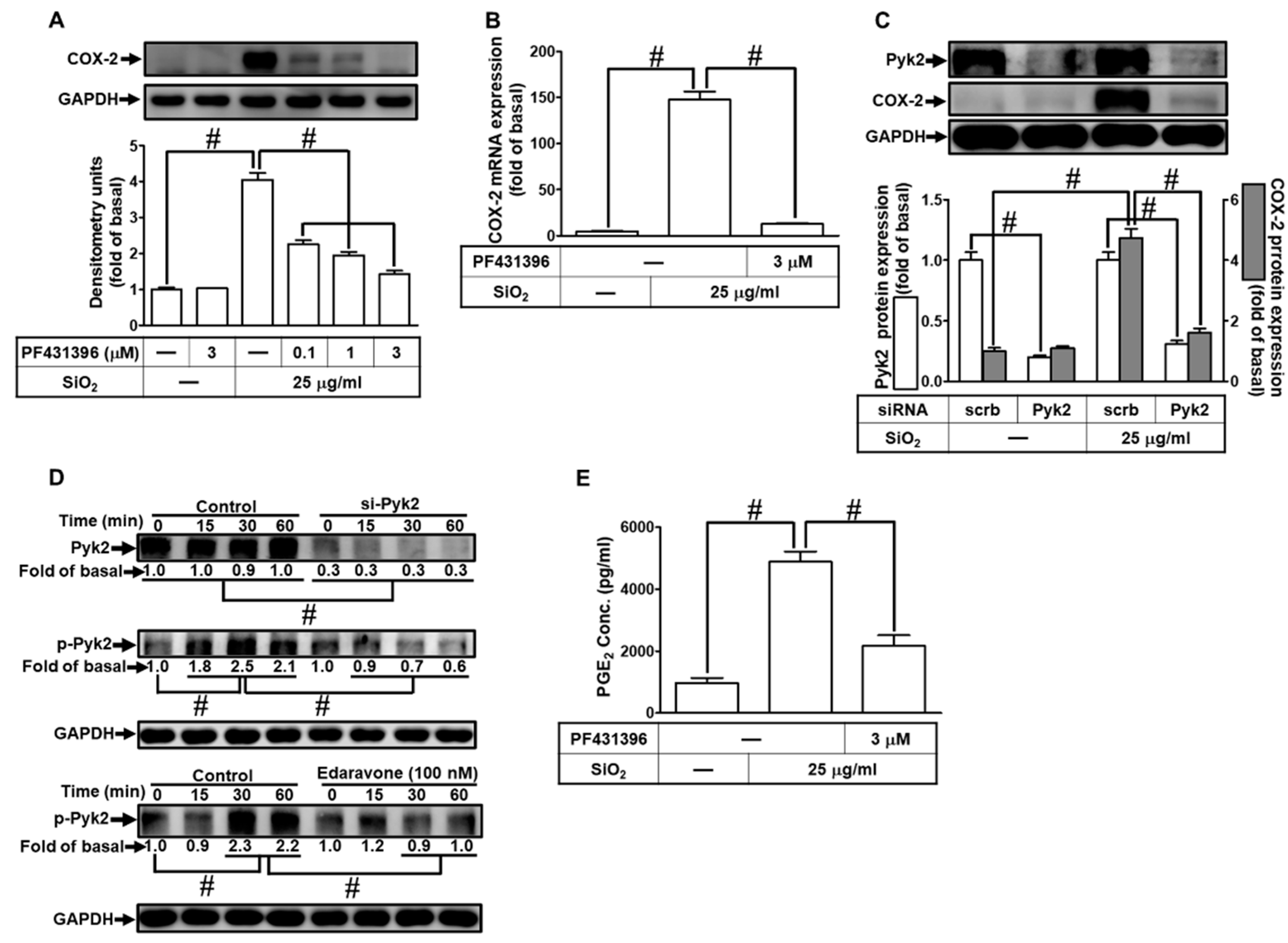 Preprints 82745 i004