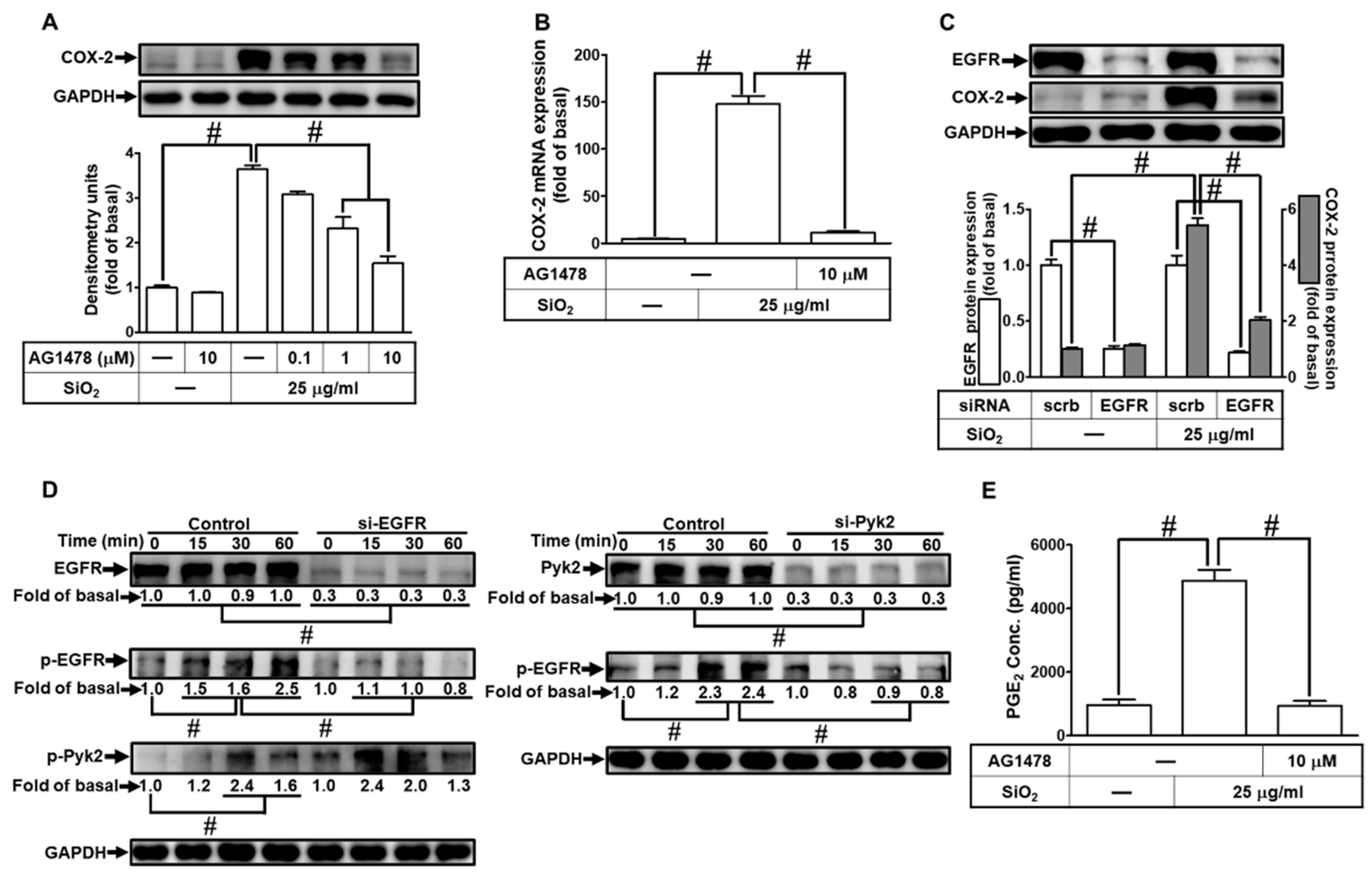 Preprints 82745 i005