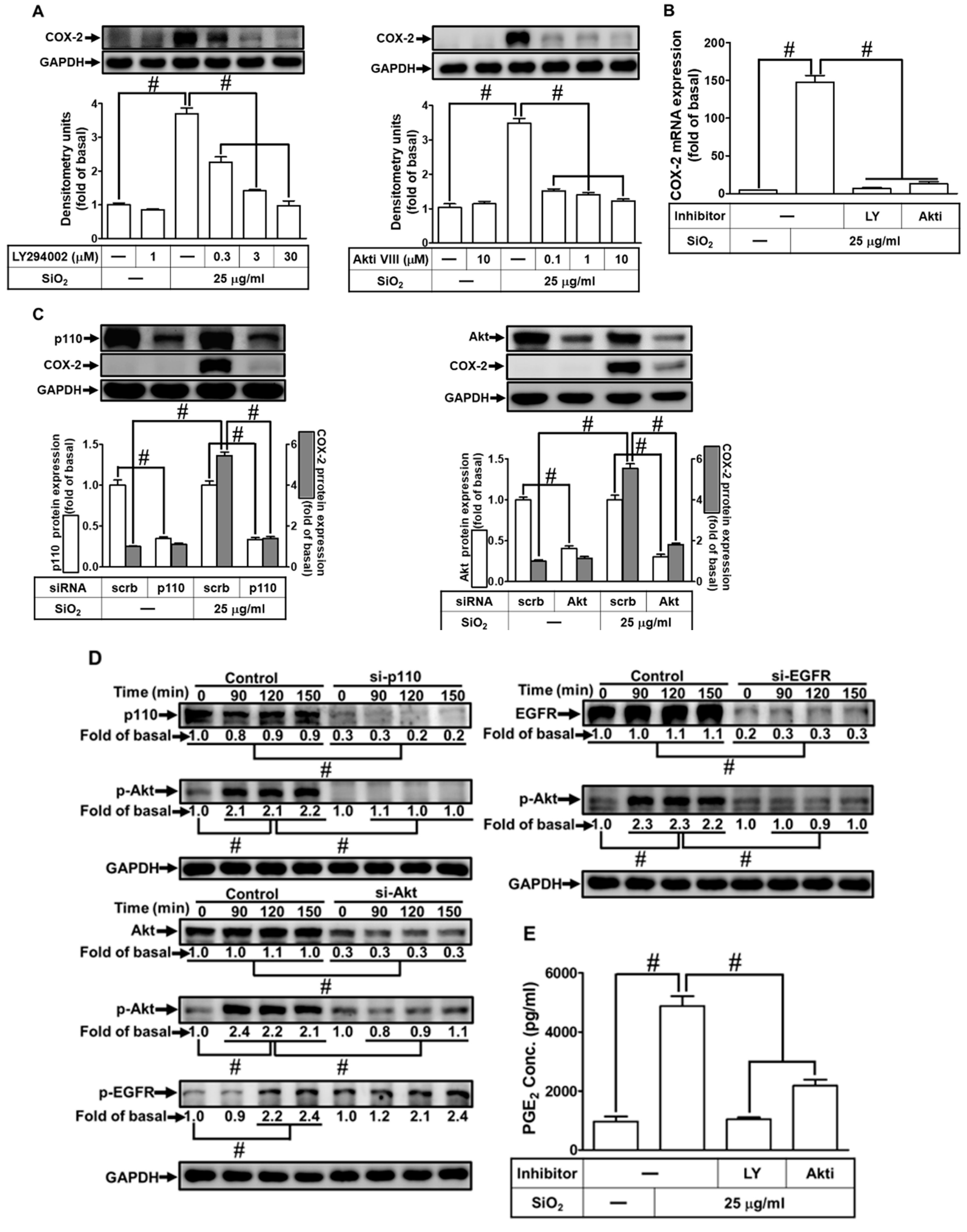 Preprints 82745 i006